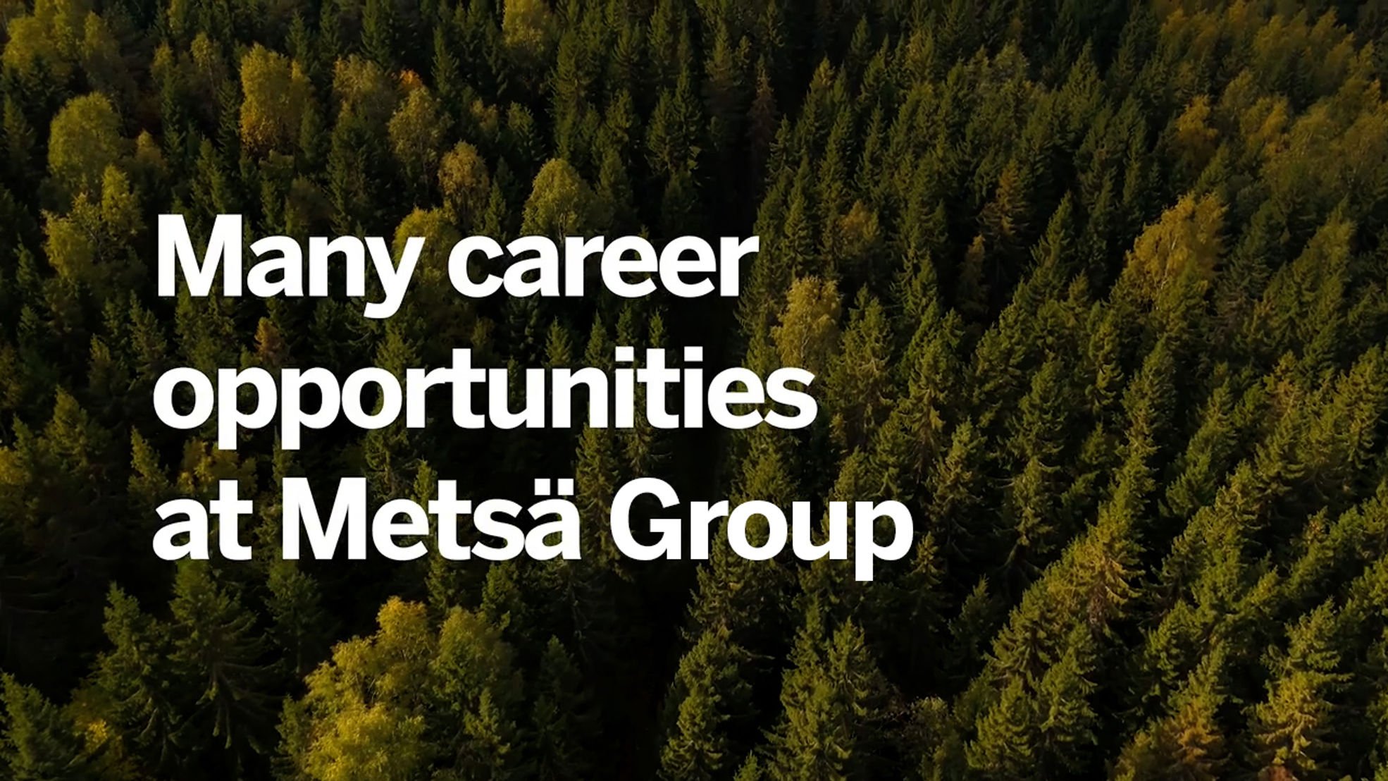 Many career opportunities at Metsä