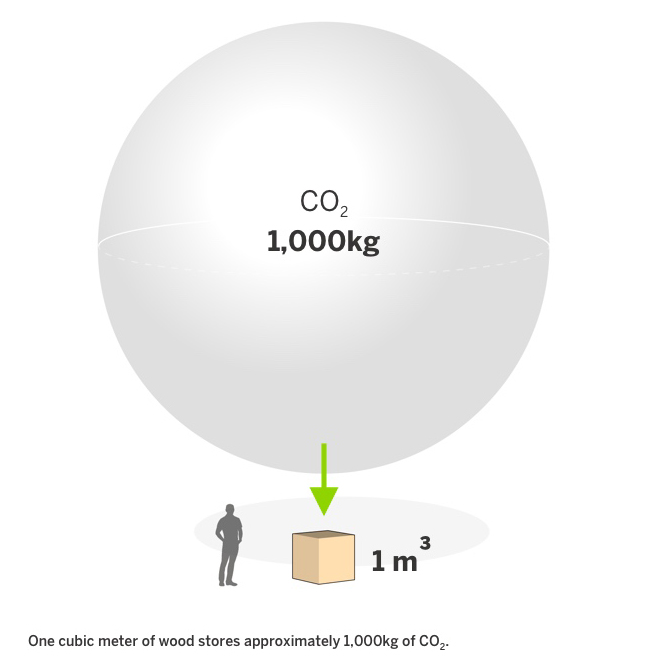 Cubic meter of wood stores 1000kg of co2
