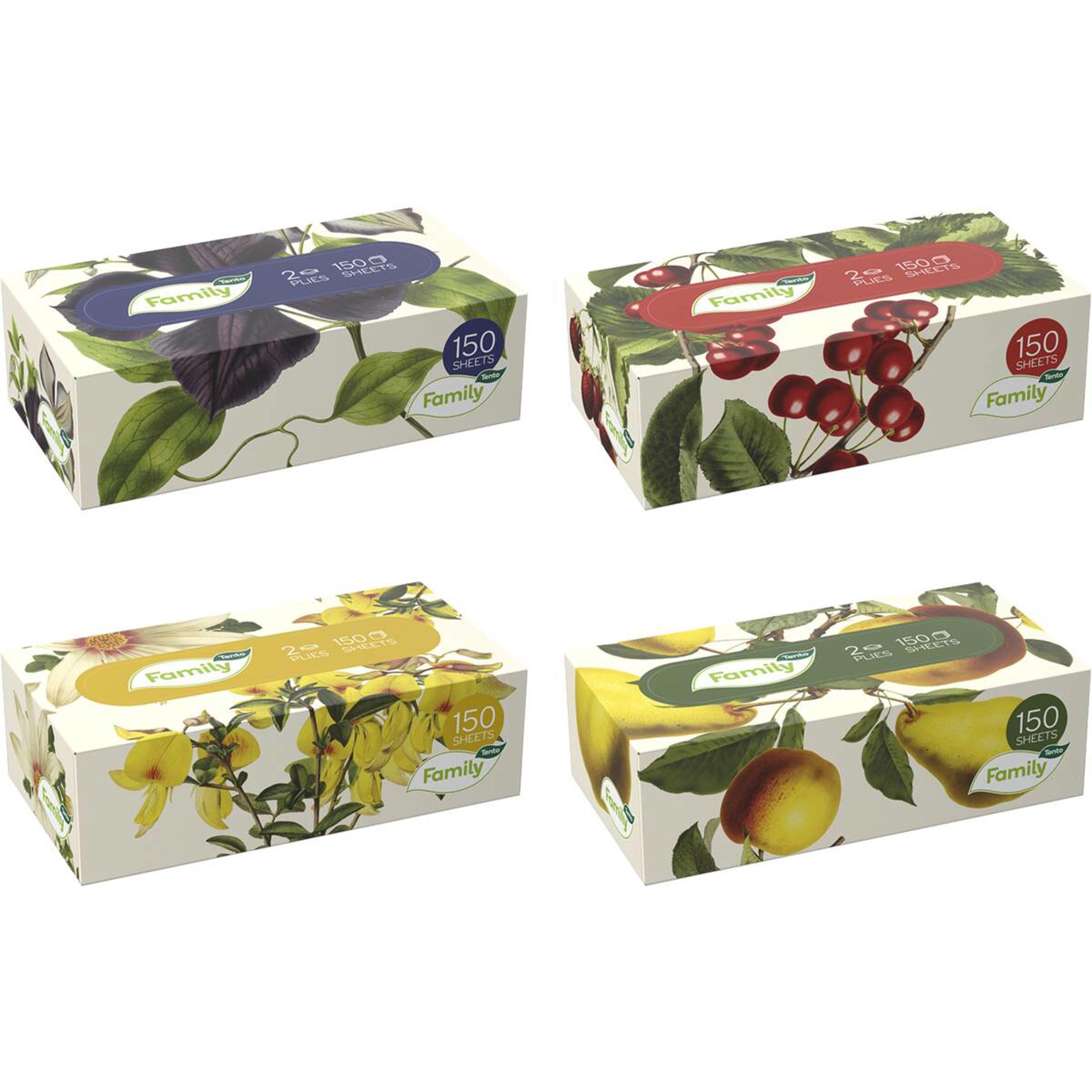 Tento Family boxy-1