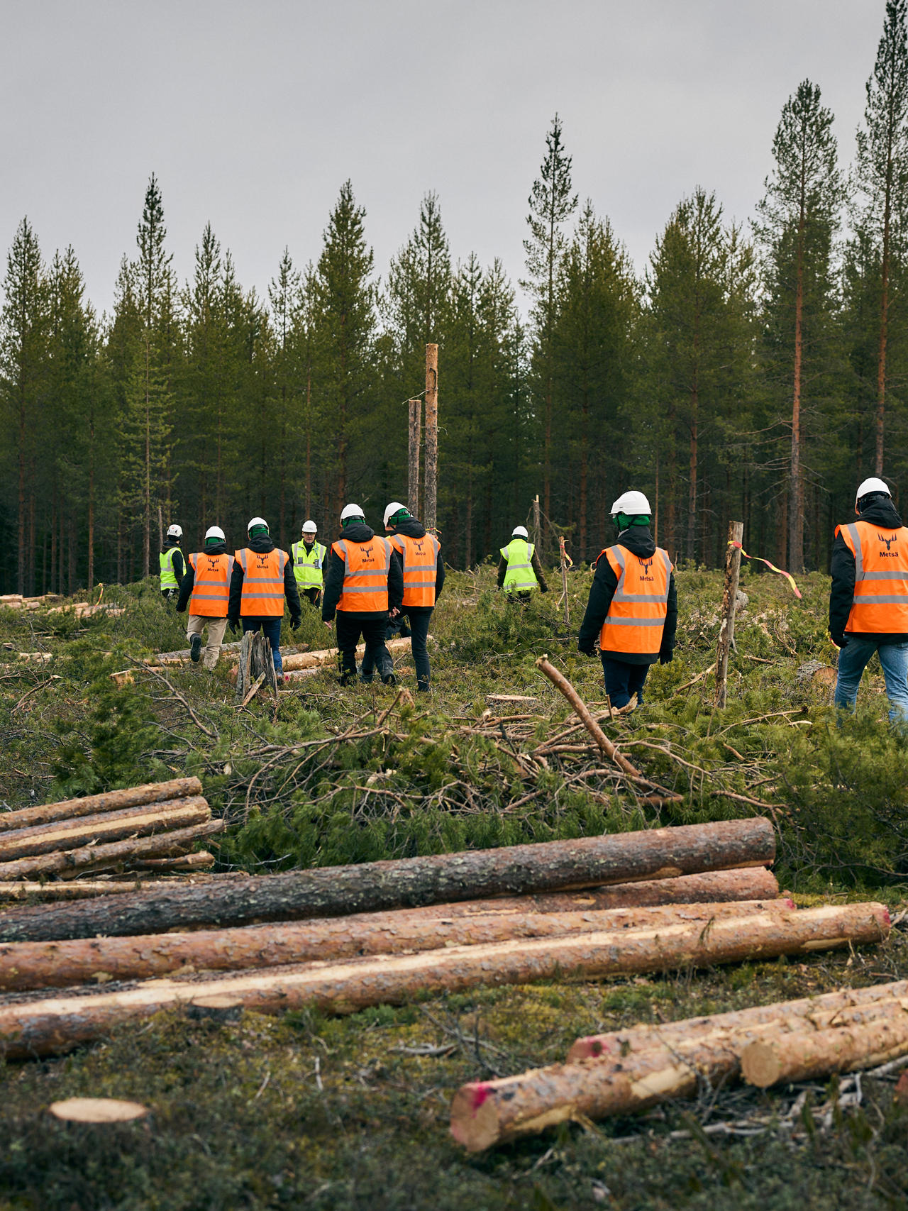 Sustainable forest management