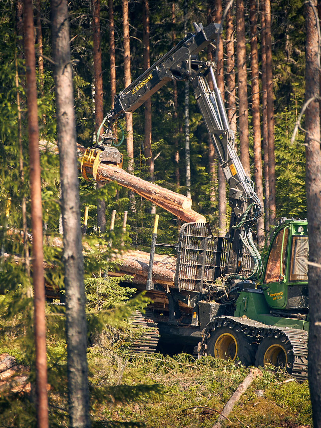 The origin and traceability of wood raw materials