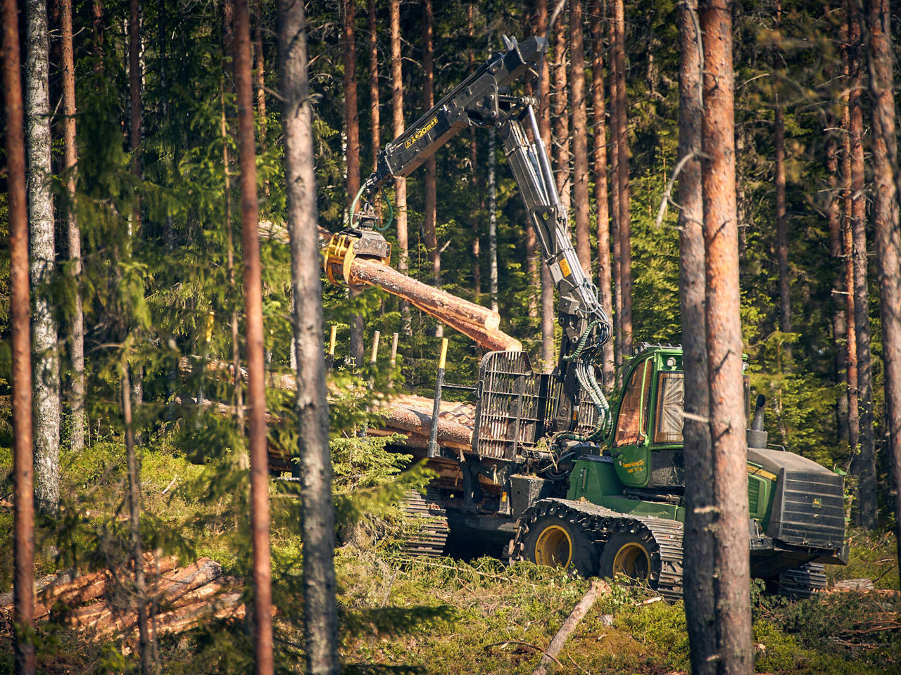 The origin and traceability of wood raw materials