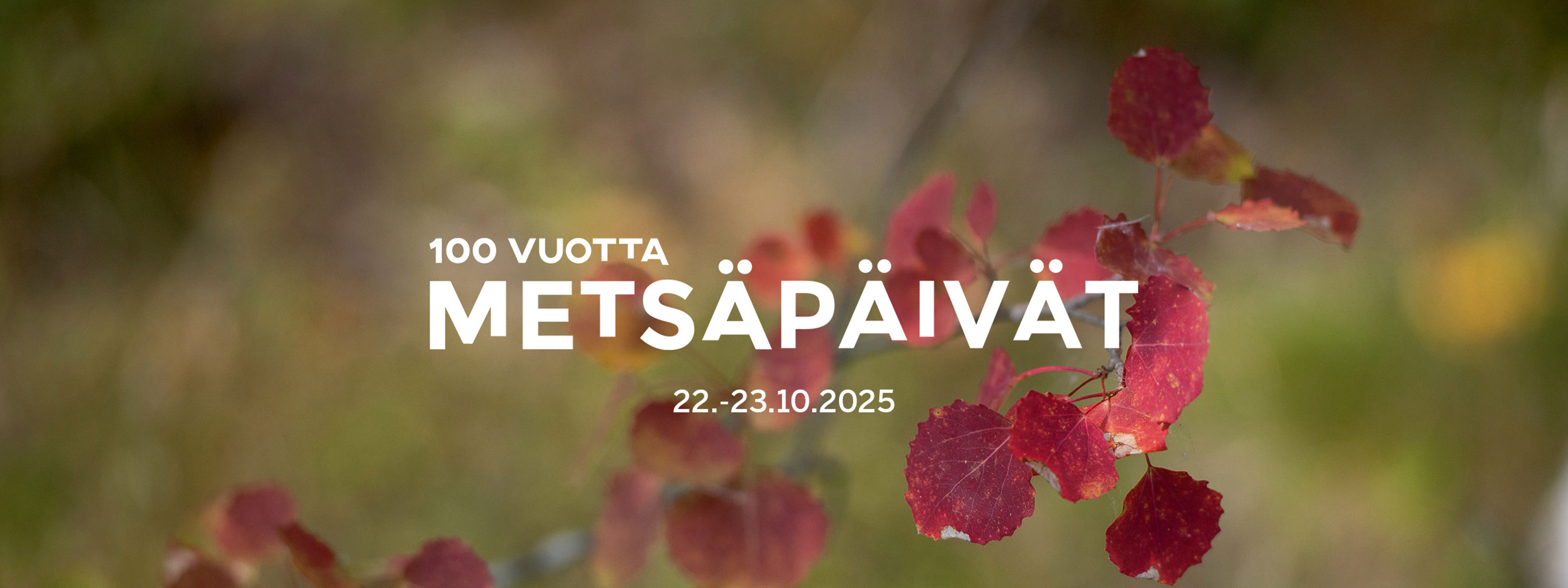 Metsä Group Metsäpäivillä 23.10.2025