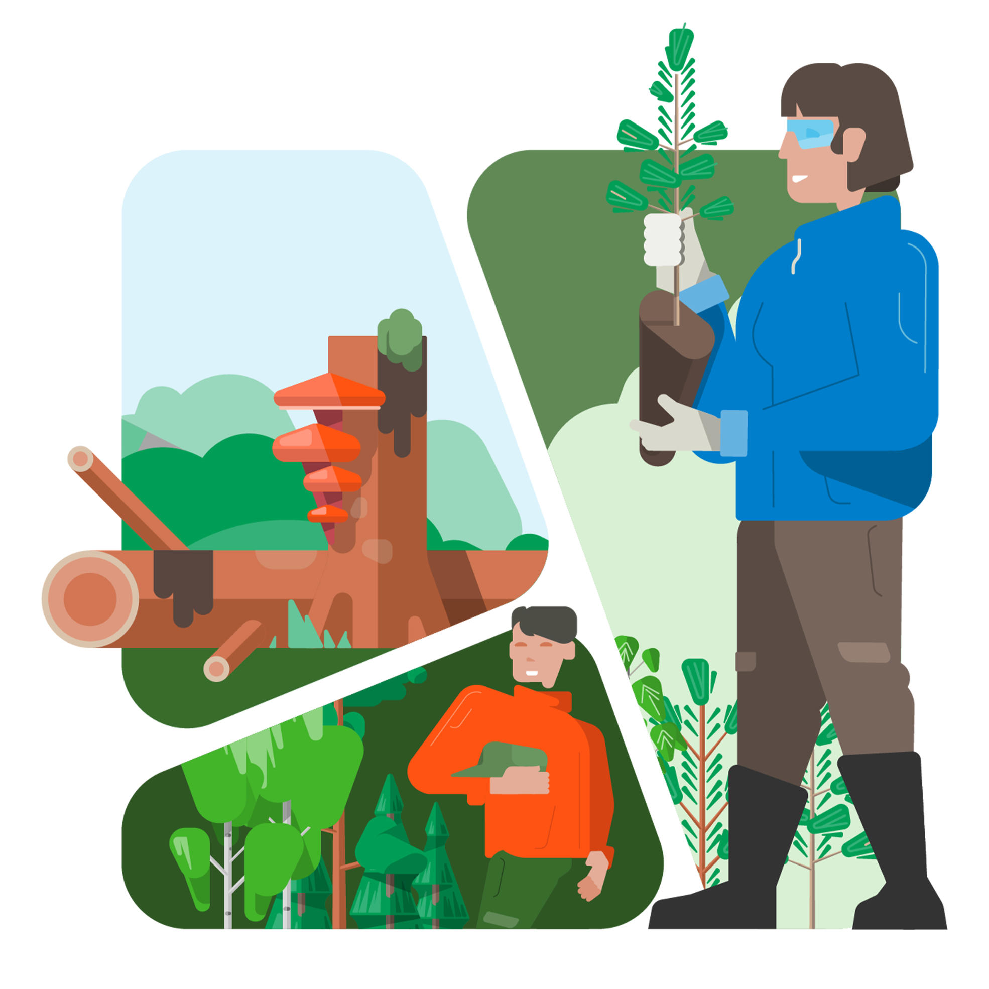 Metsä Group’s media campaign "Growth, with a future” invites to conversation