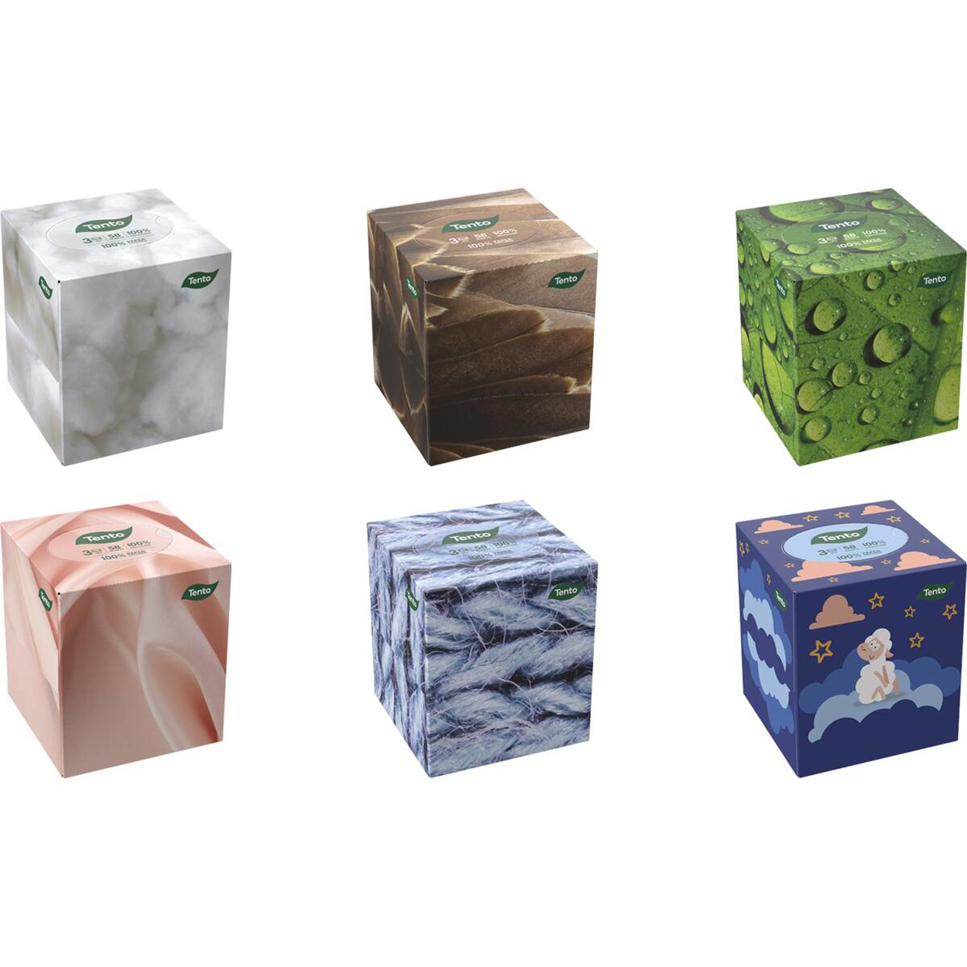 Tento boxy-2