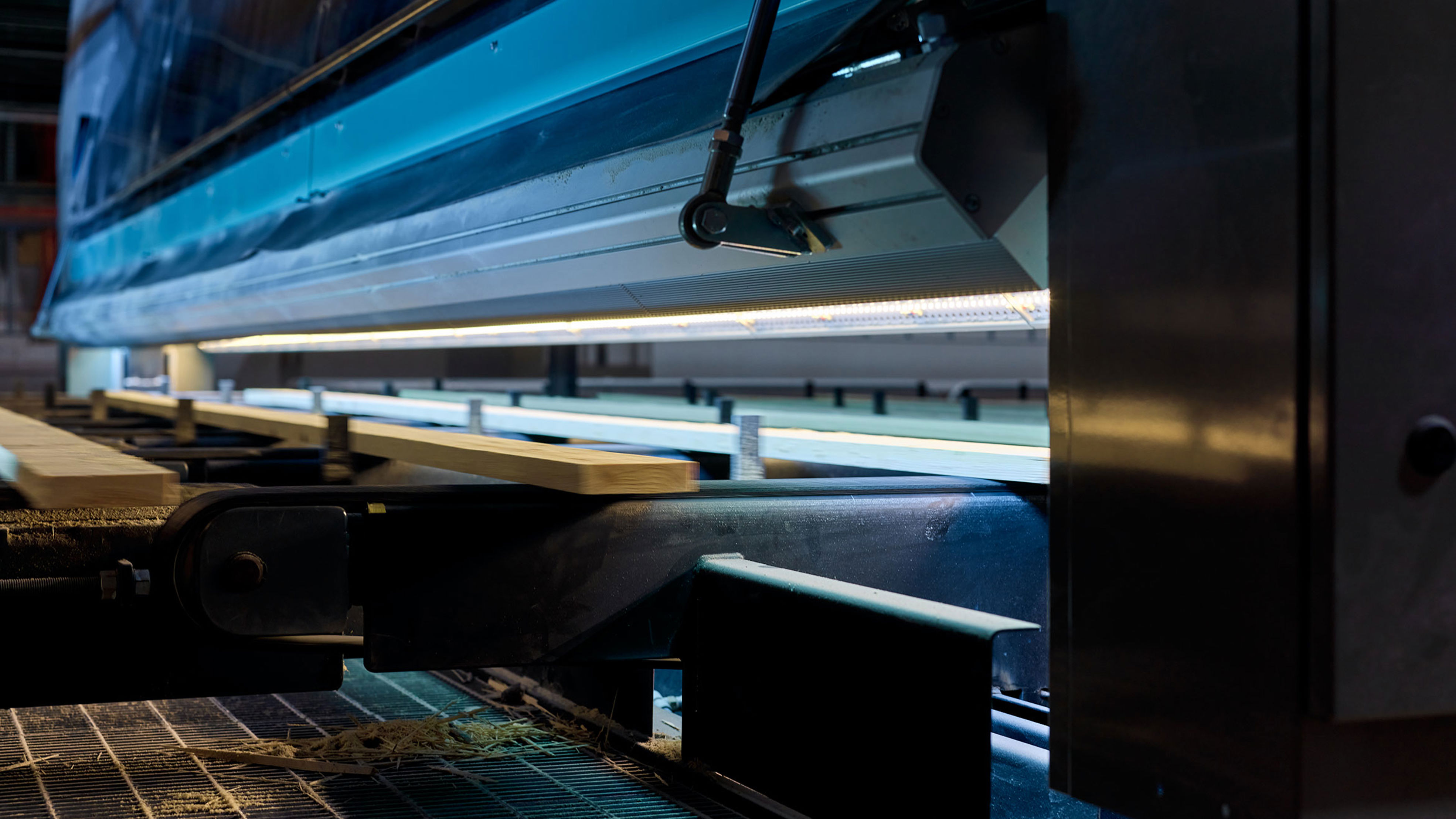 Machine vision camera of a sawn timber sorting machine