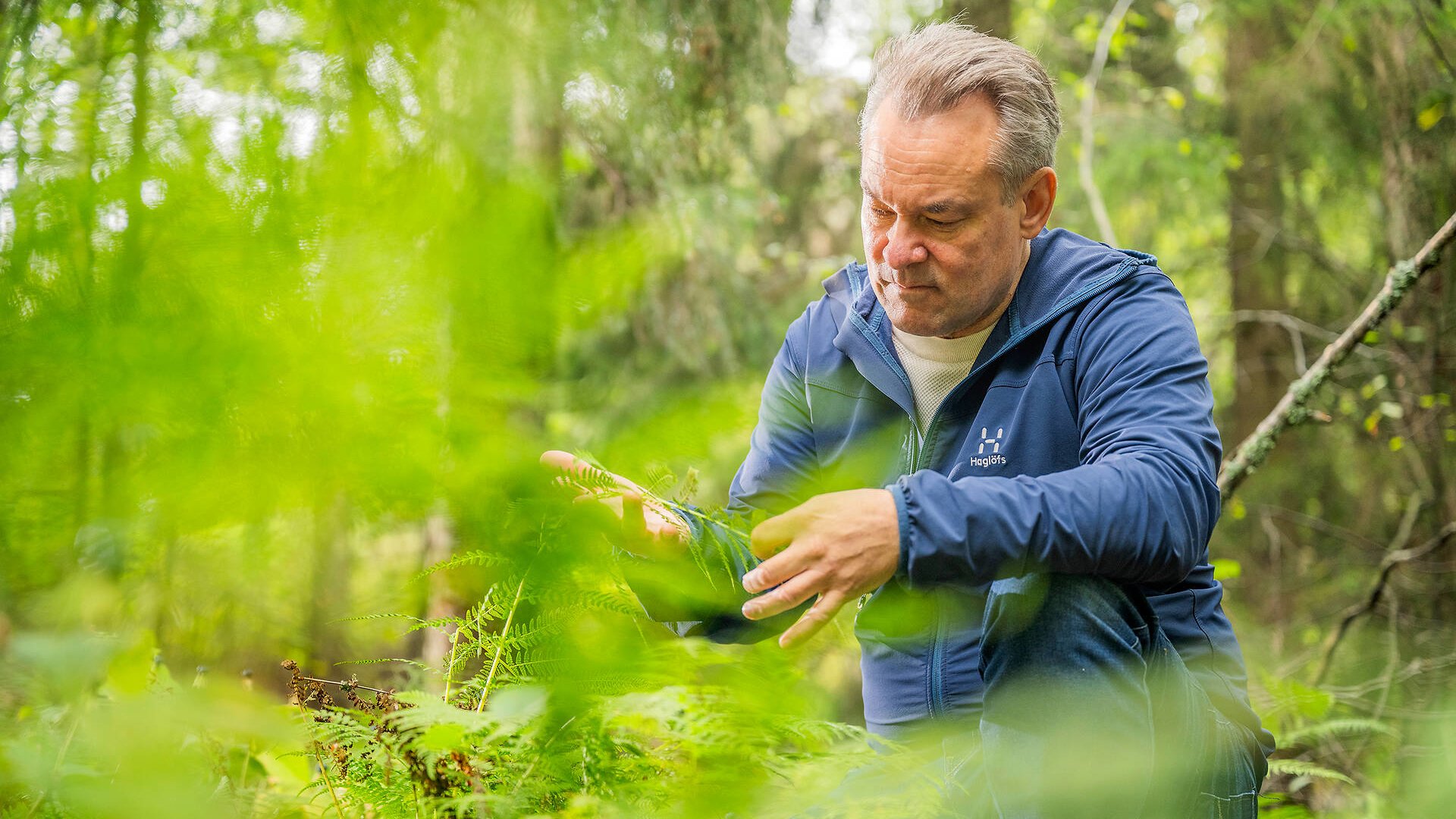 Timo Lehesvirta on Metsä Groupin johtava luontoasiantuntija