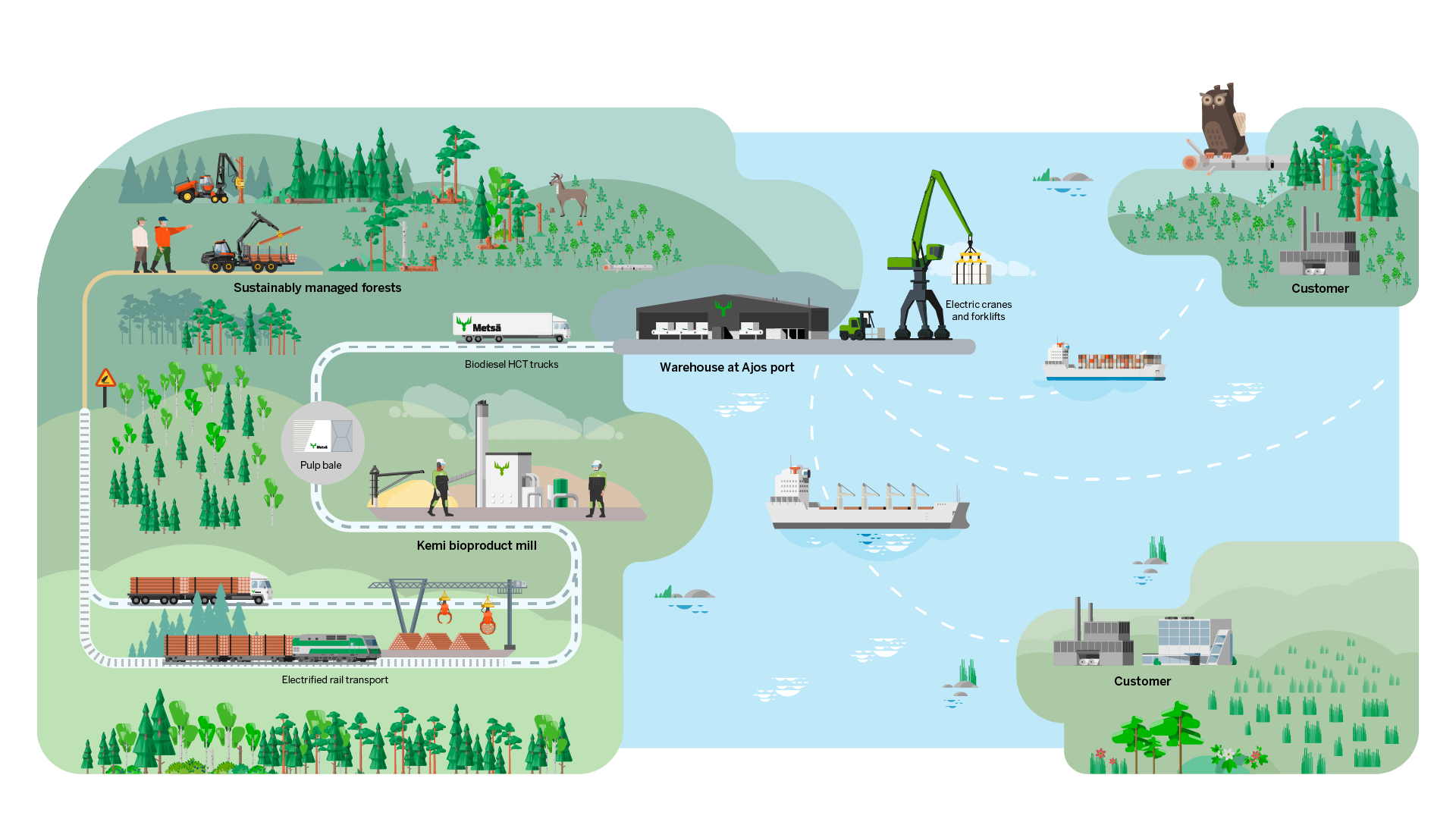 Mets&auml; Fibre Kemi Illustration from forest to customer