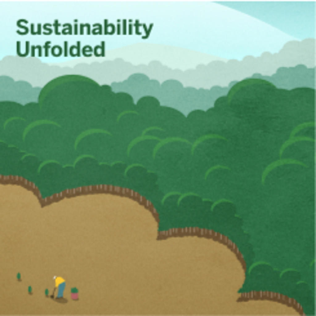 Deforestation or reforestation