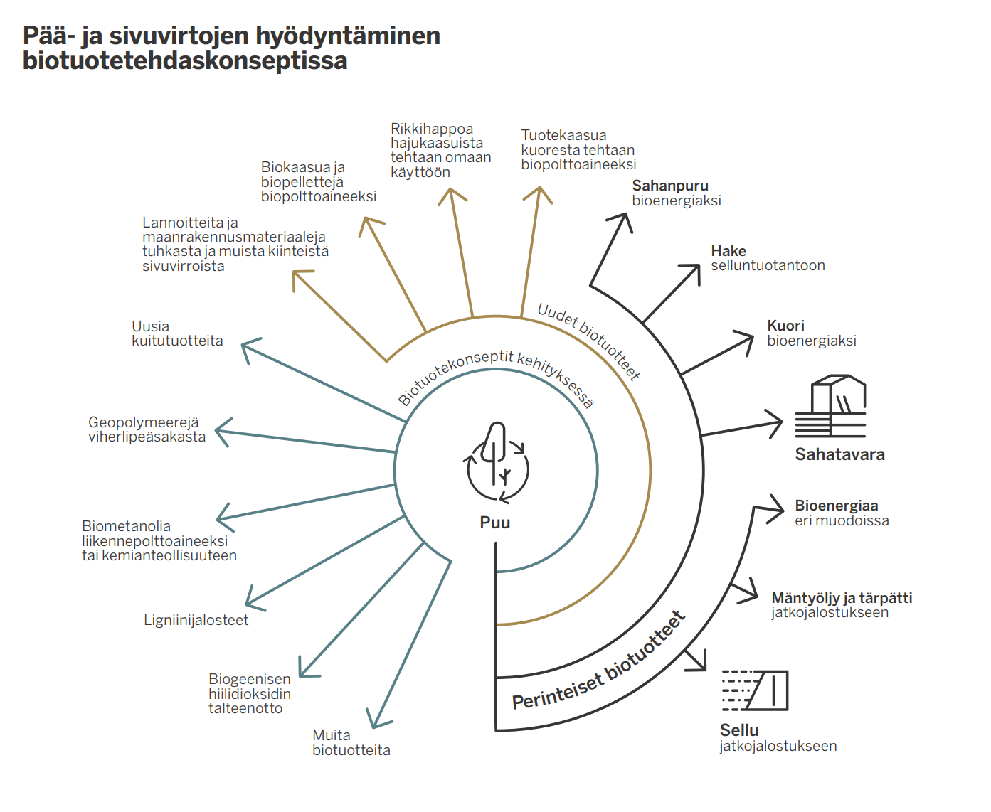 P&auml;&auml;- ja sivuvirtojen hy&ouml;dynt&auml;minen biotuotetehdaskonseptissa