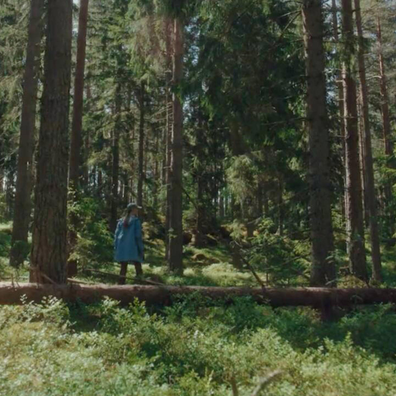 Forest management in a new way