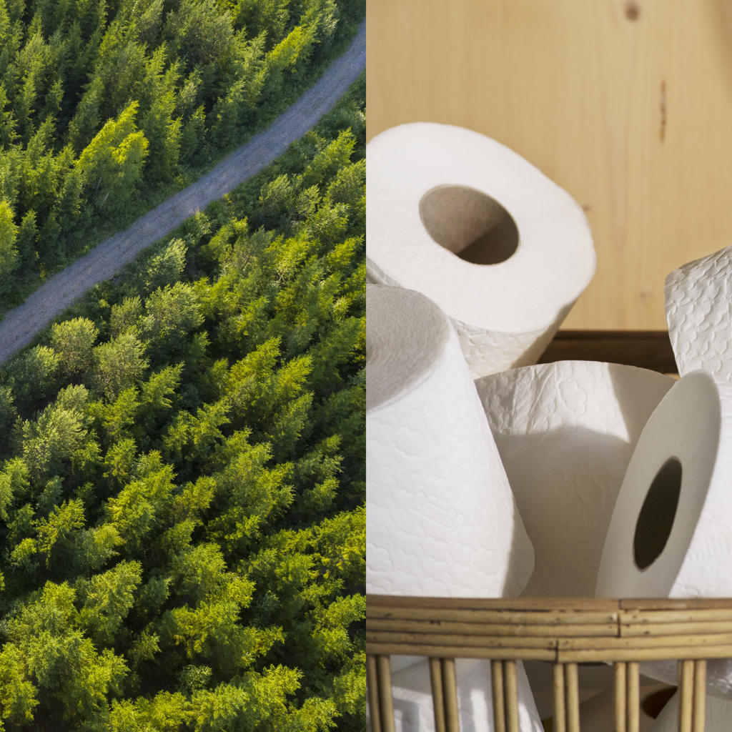 A journey worth participating - new video published of the manufacturing of our tissue papers