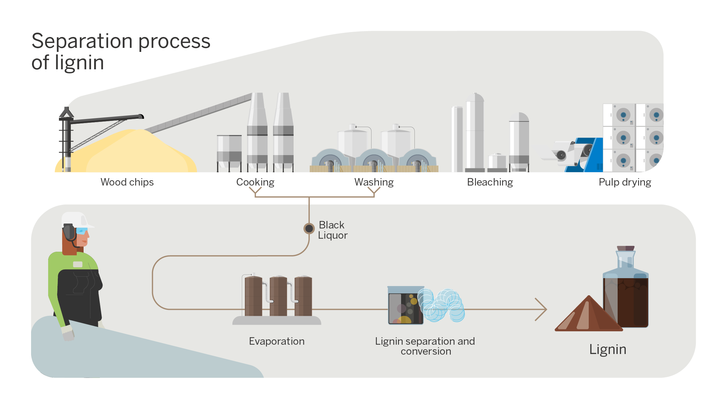 separation process of lignin