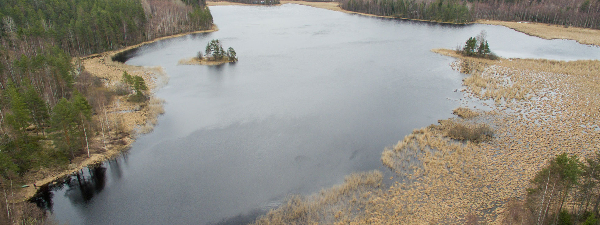 Wetland in Rantasalmi