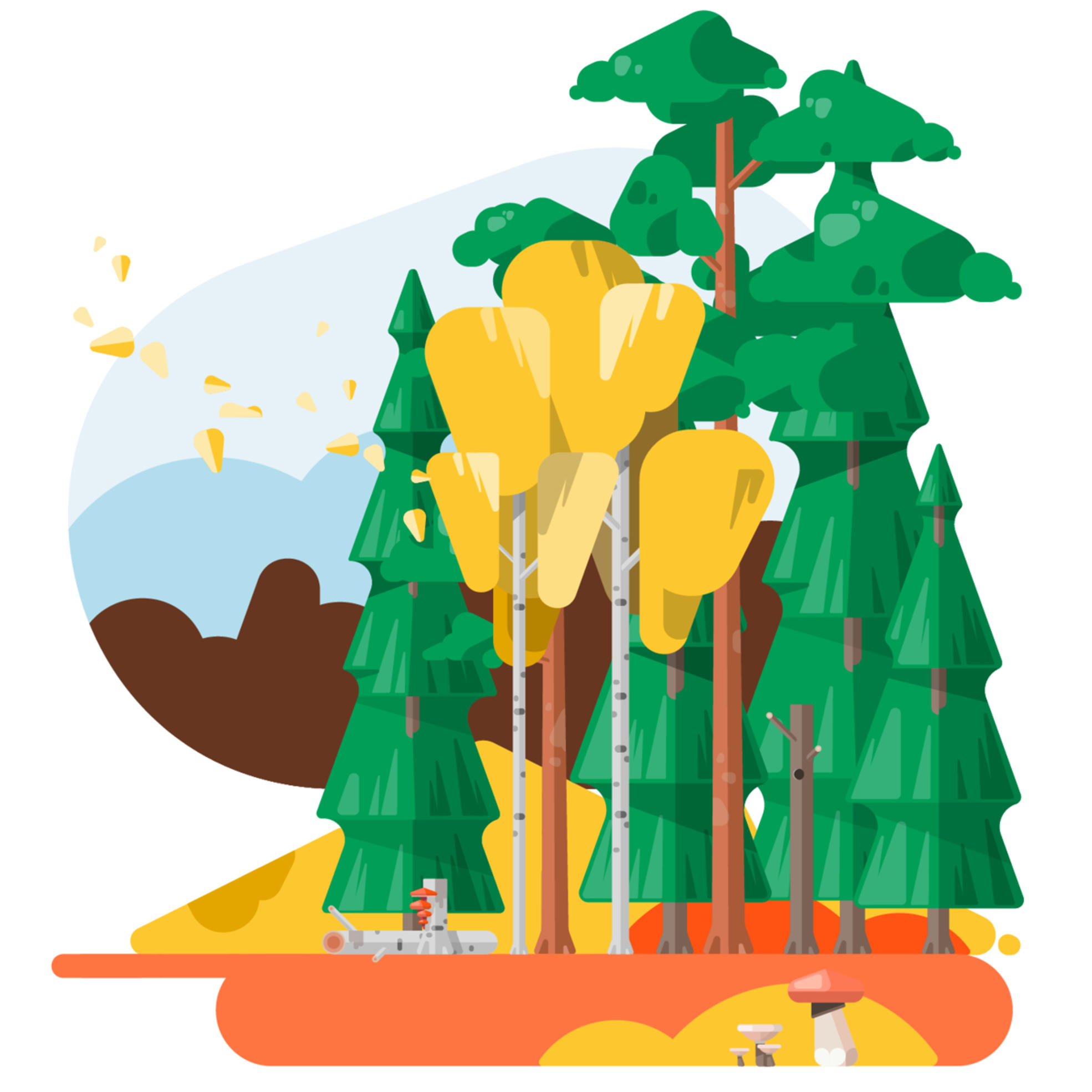 Suomalainen metsä osana uudistavaa metsätaloutta