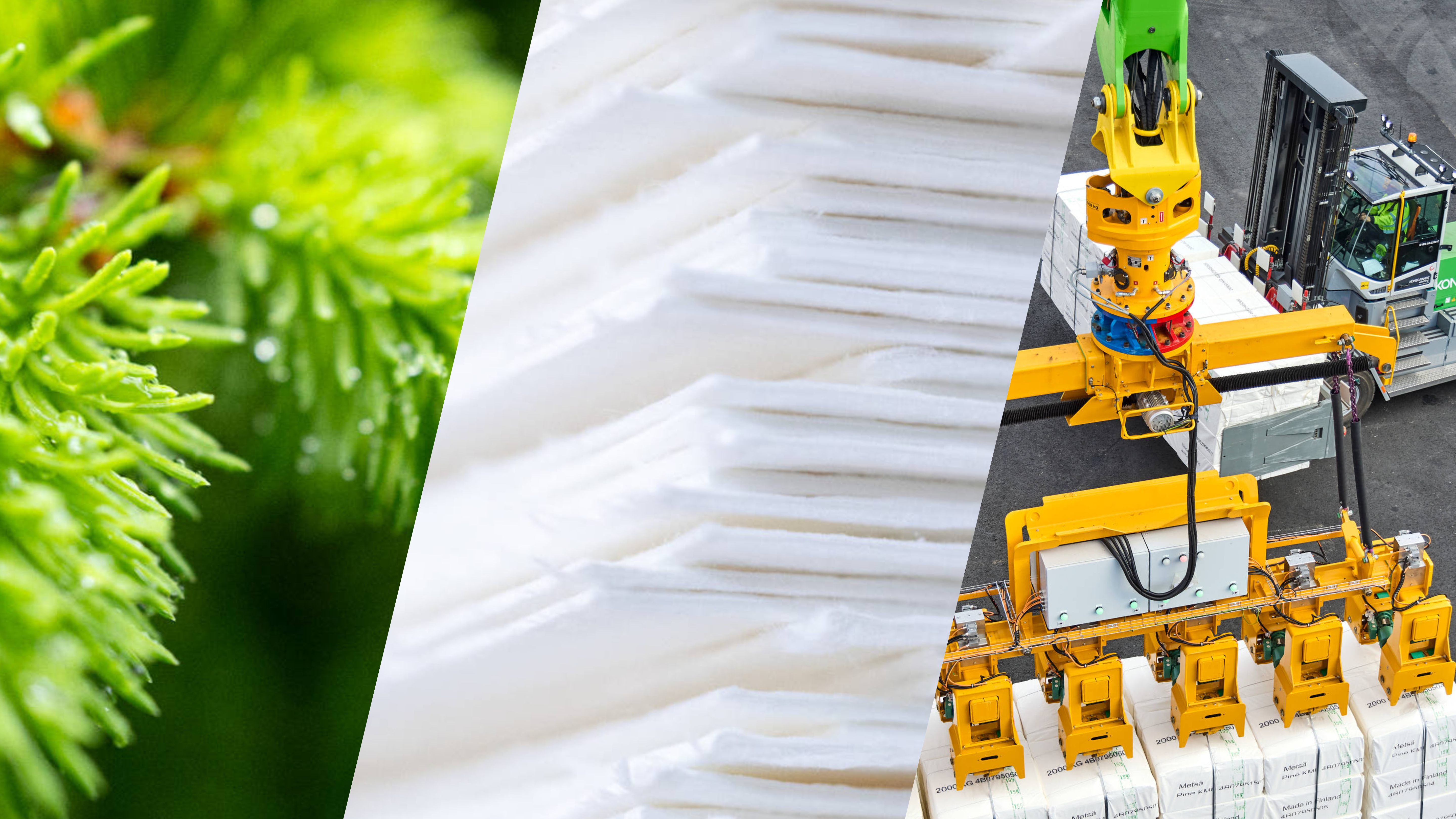 Metsä Fibre pulp production and supply chain