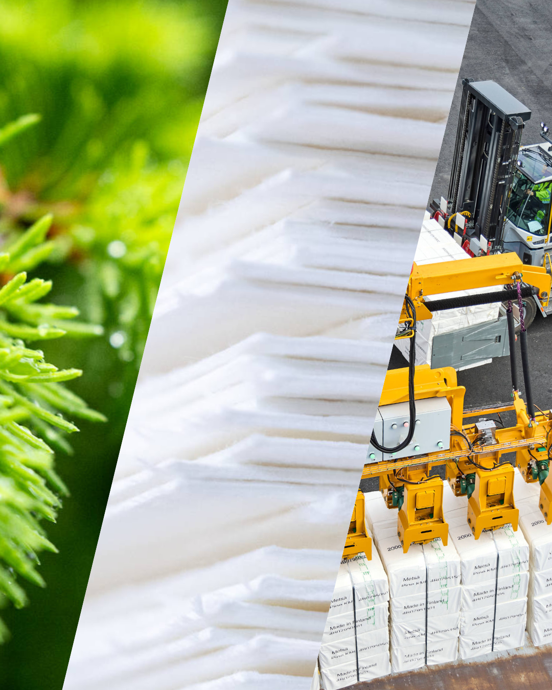 Metsä Fibre pulp production and supply chain