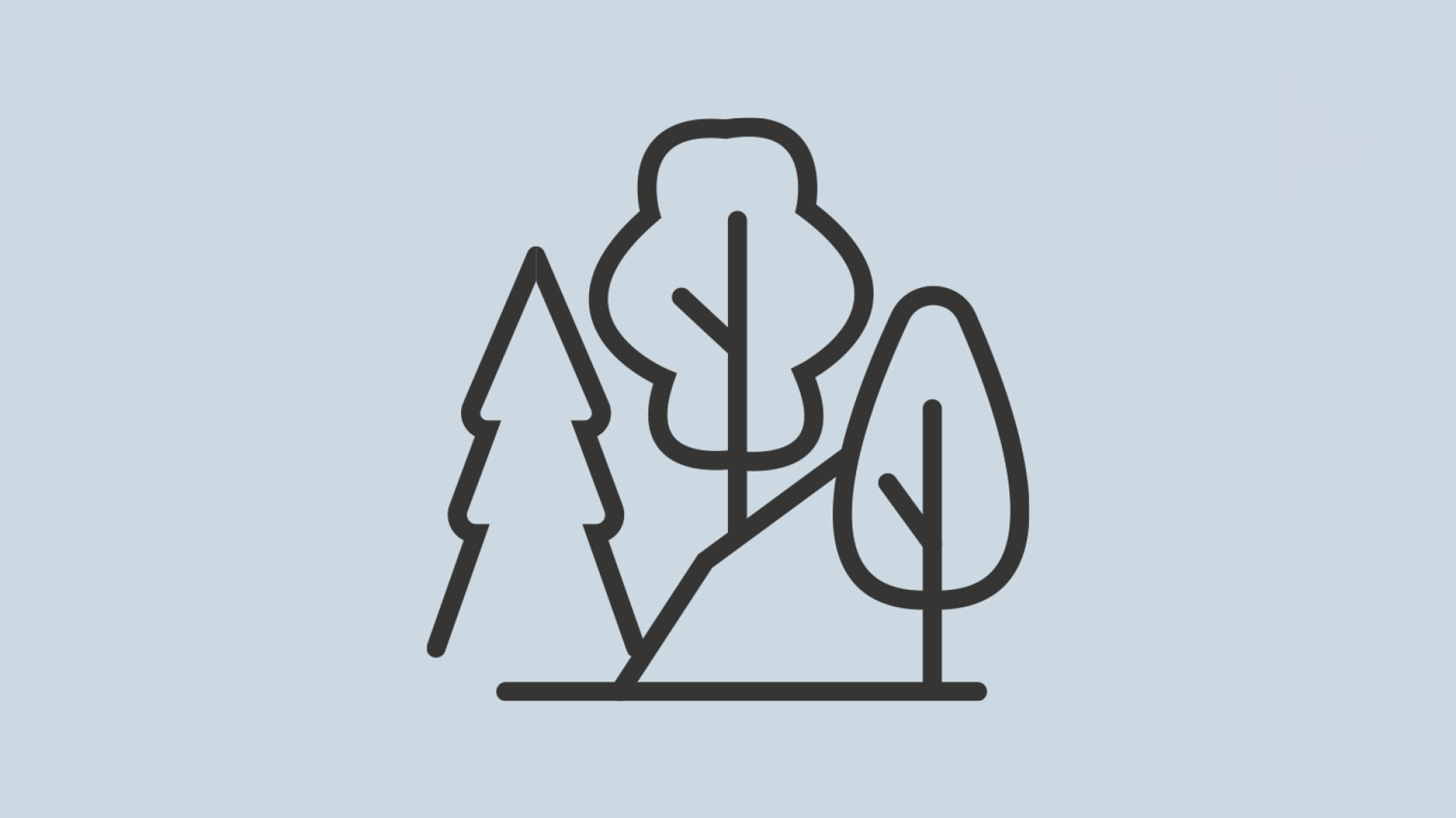 Diversification of tree species