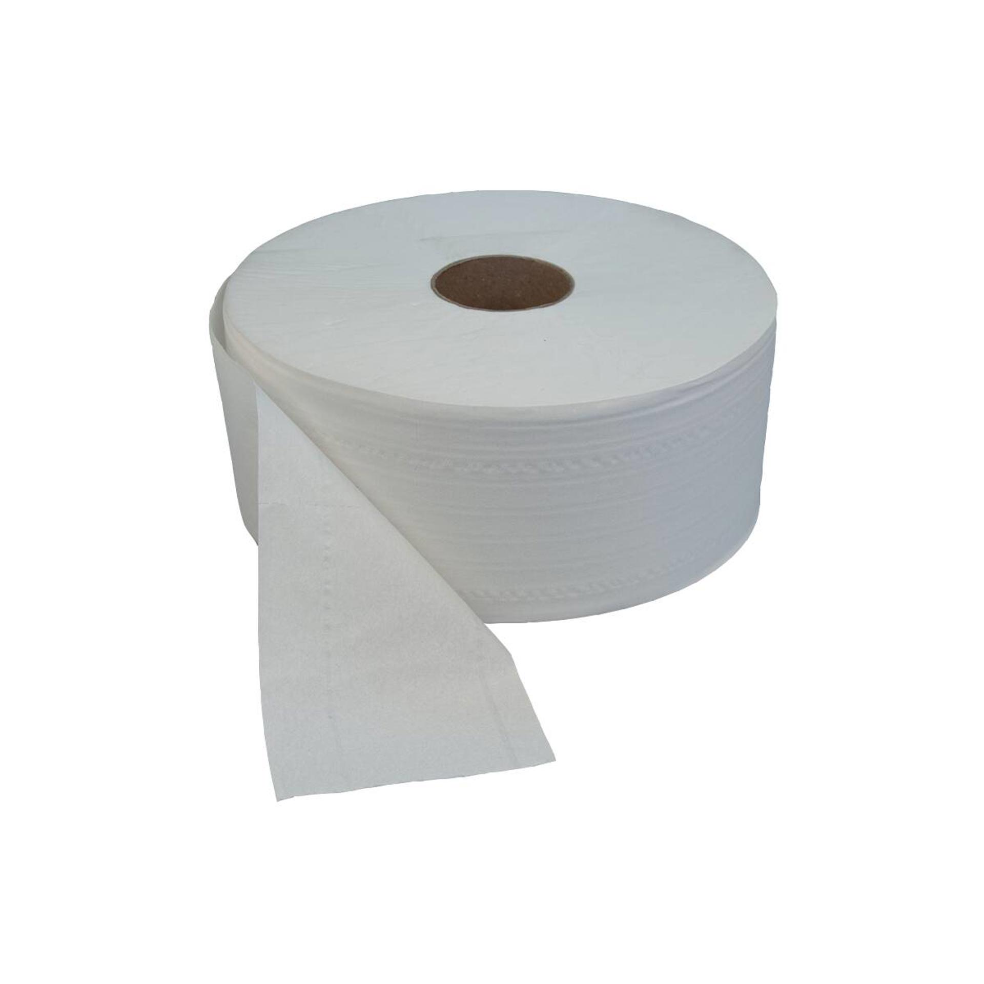 2542-Katrin Jumbo Toilet Paper Roll Medium 300 Metres 2-Ply-2
