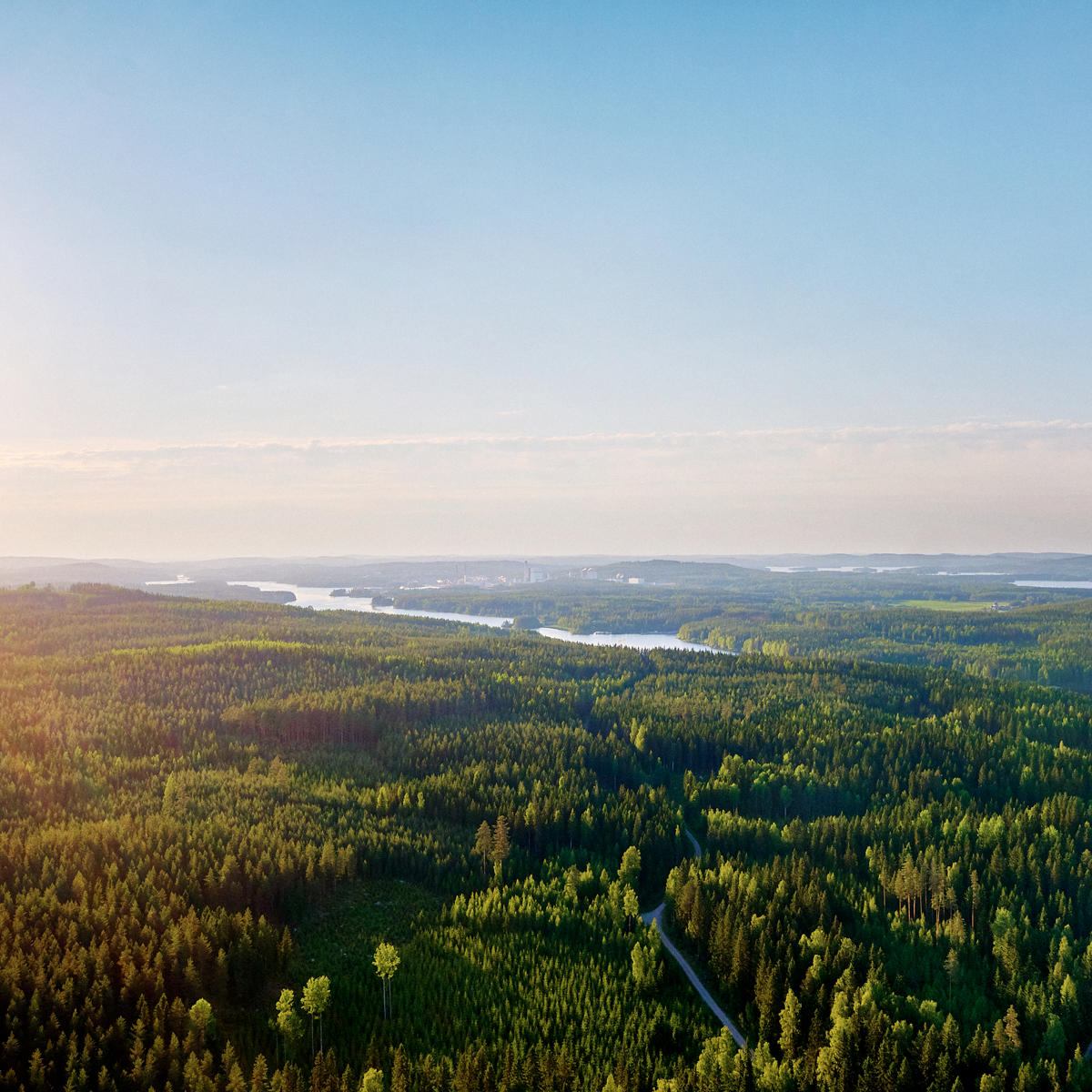Story of Metsä