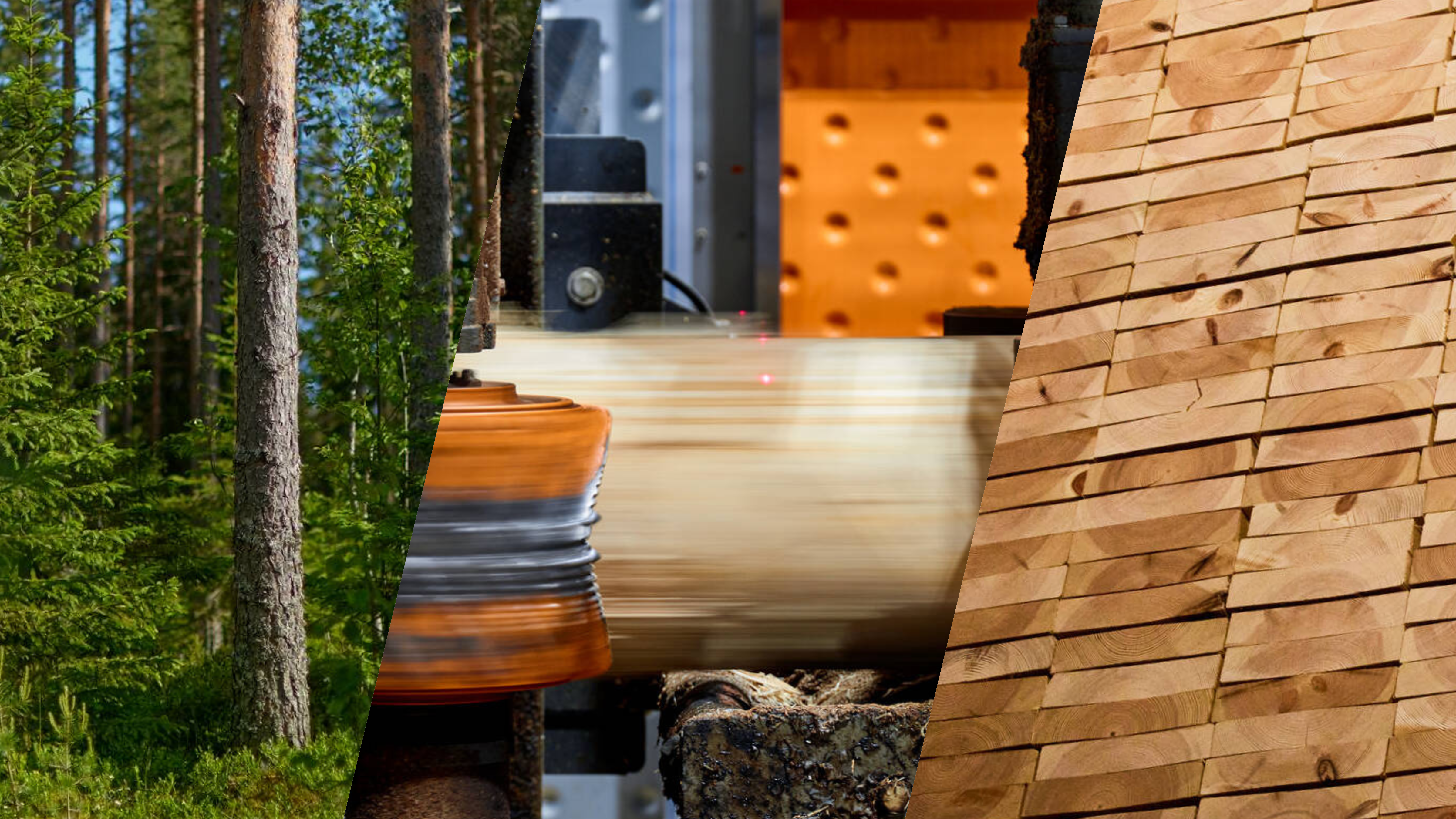 Metsä Fibre sawn timber production and supply chain