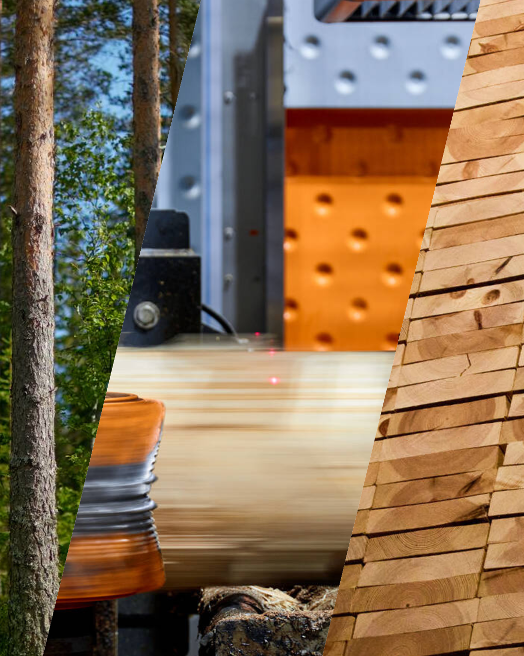 Metsä Fibre sawn timber production and supply chain