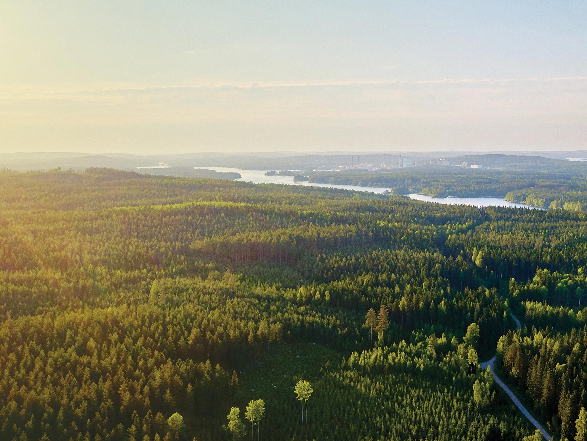 Finnish forests from the aerial view