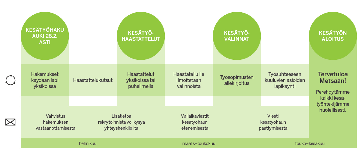 Metsä Groupin kesätyöt