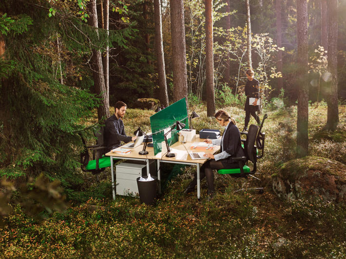 byrå in skog