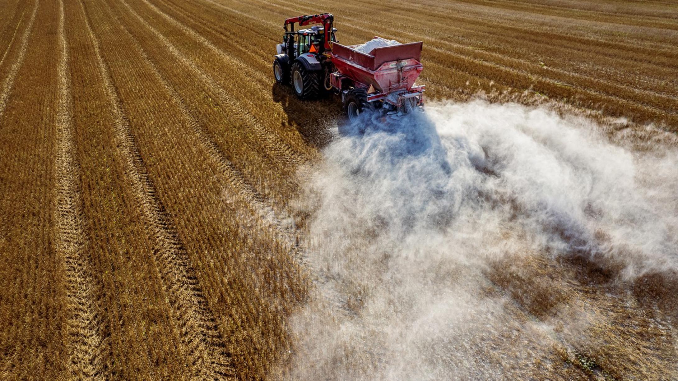 Soilfood produces structural lime from sidestreams.