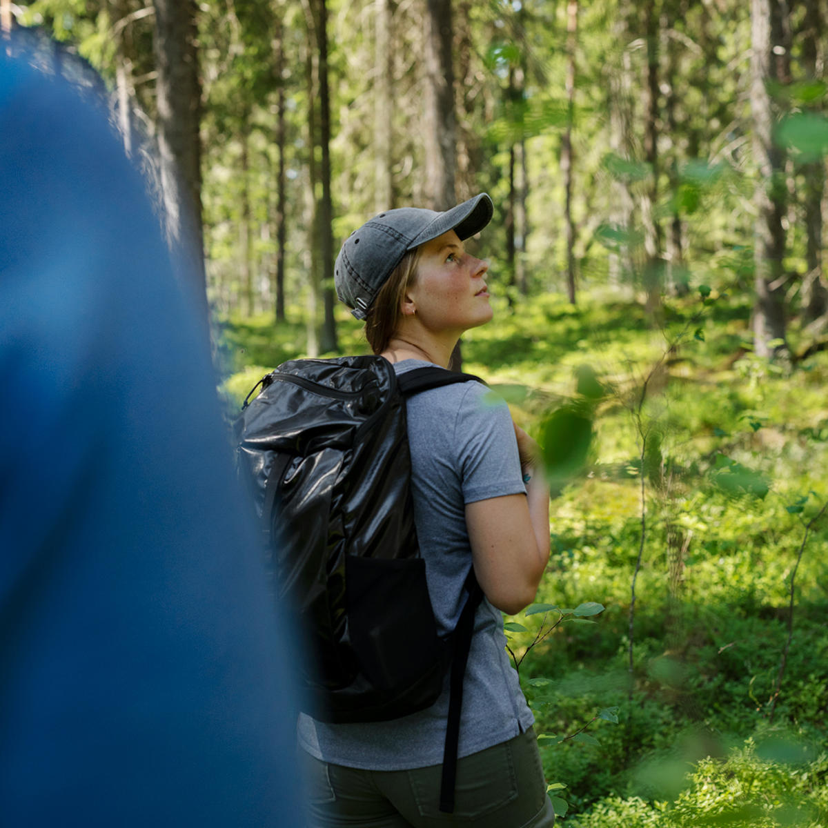 Safeguarding biodiversity: Mixed forests, decaying wood, and herb-rich forests.
