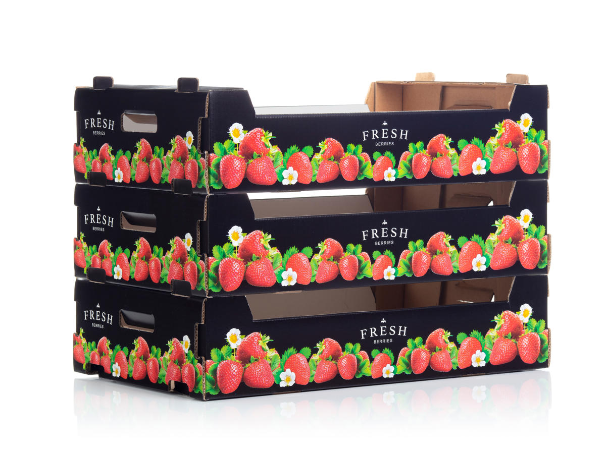 WKL-tray-Fresh-Berries