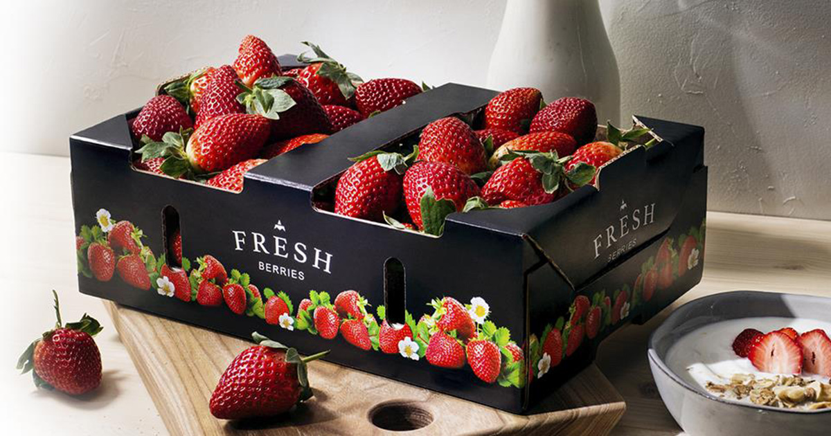 Top-quality print on Metsä Board kraftliner makes new