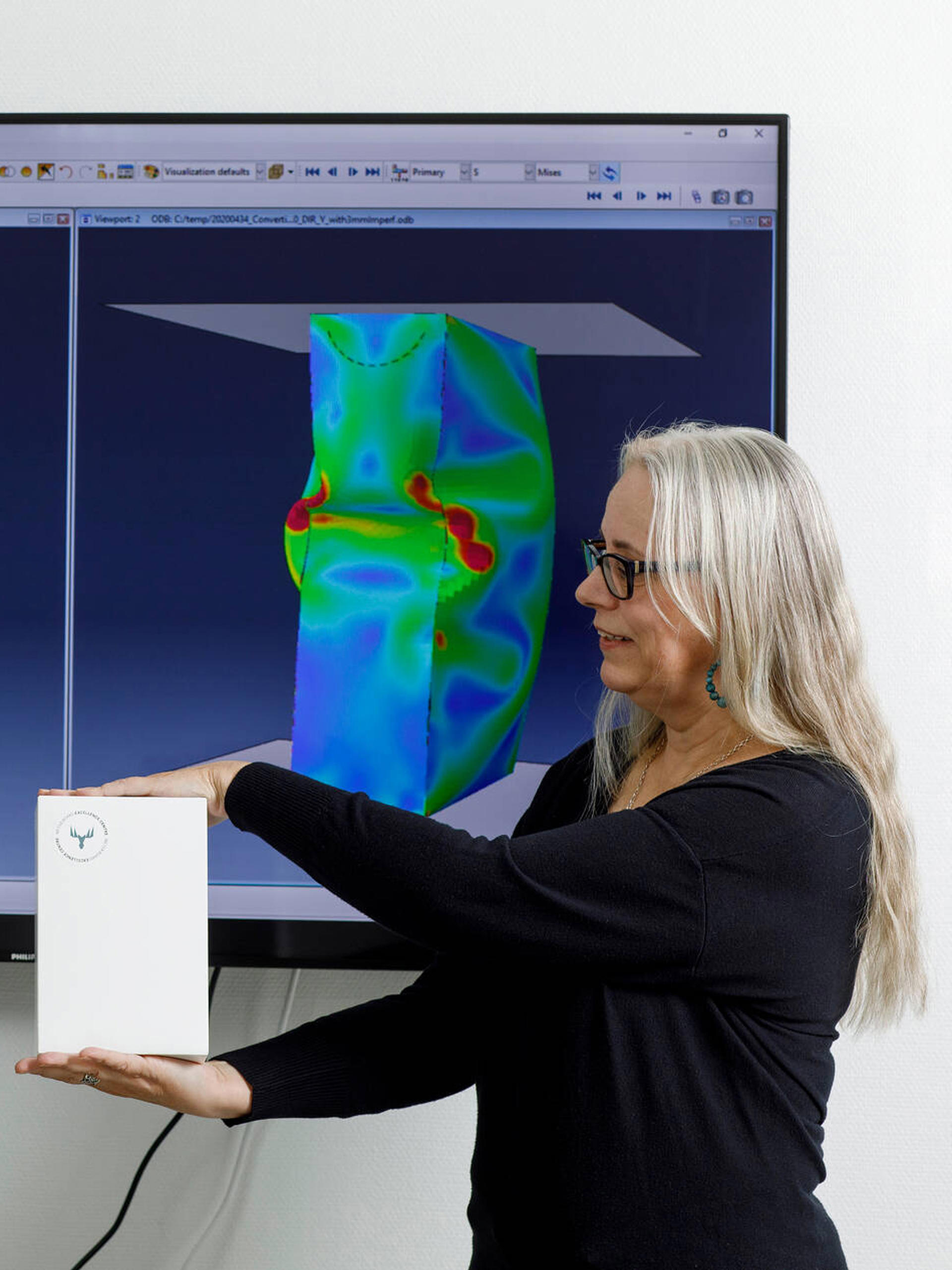 3D simulation