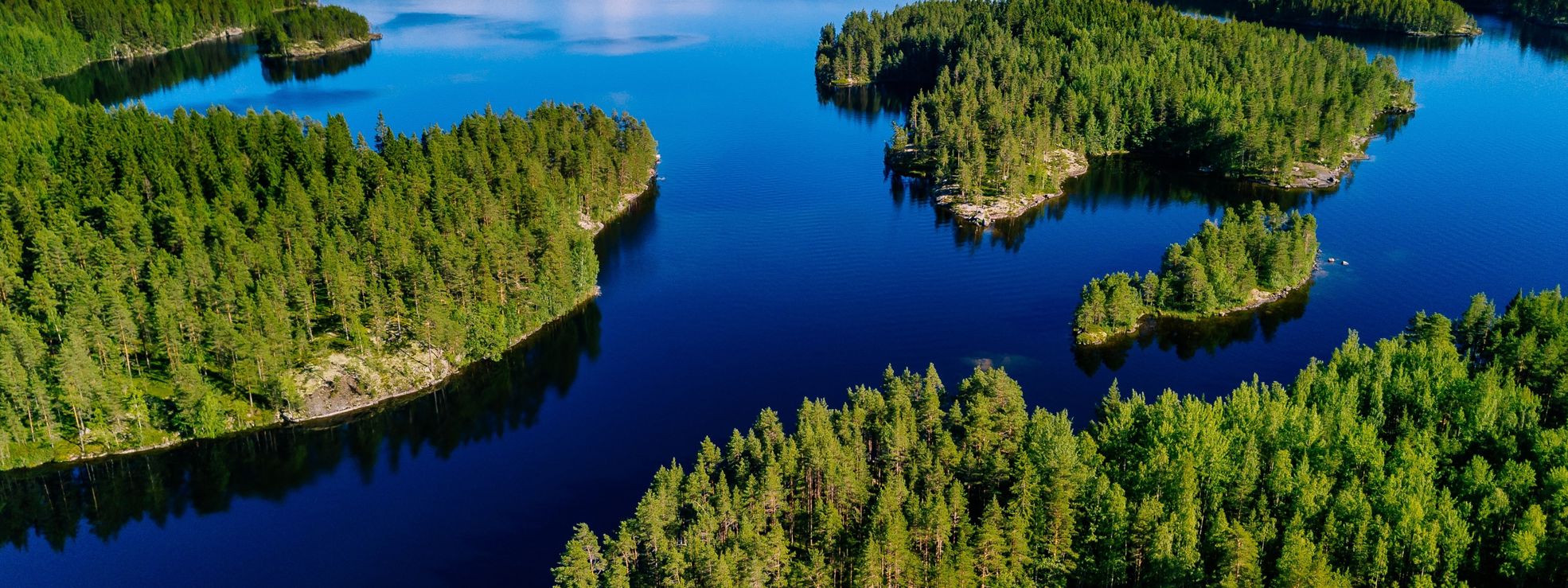 Metsä Board on vastuullisuuden edelläkävijä