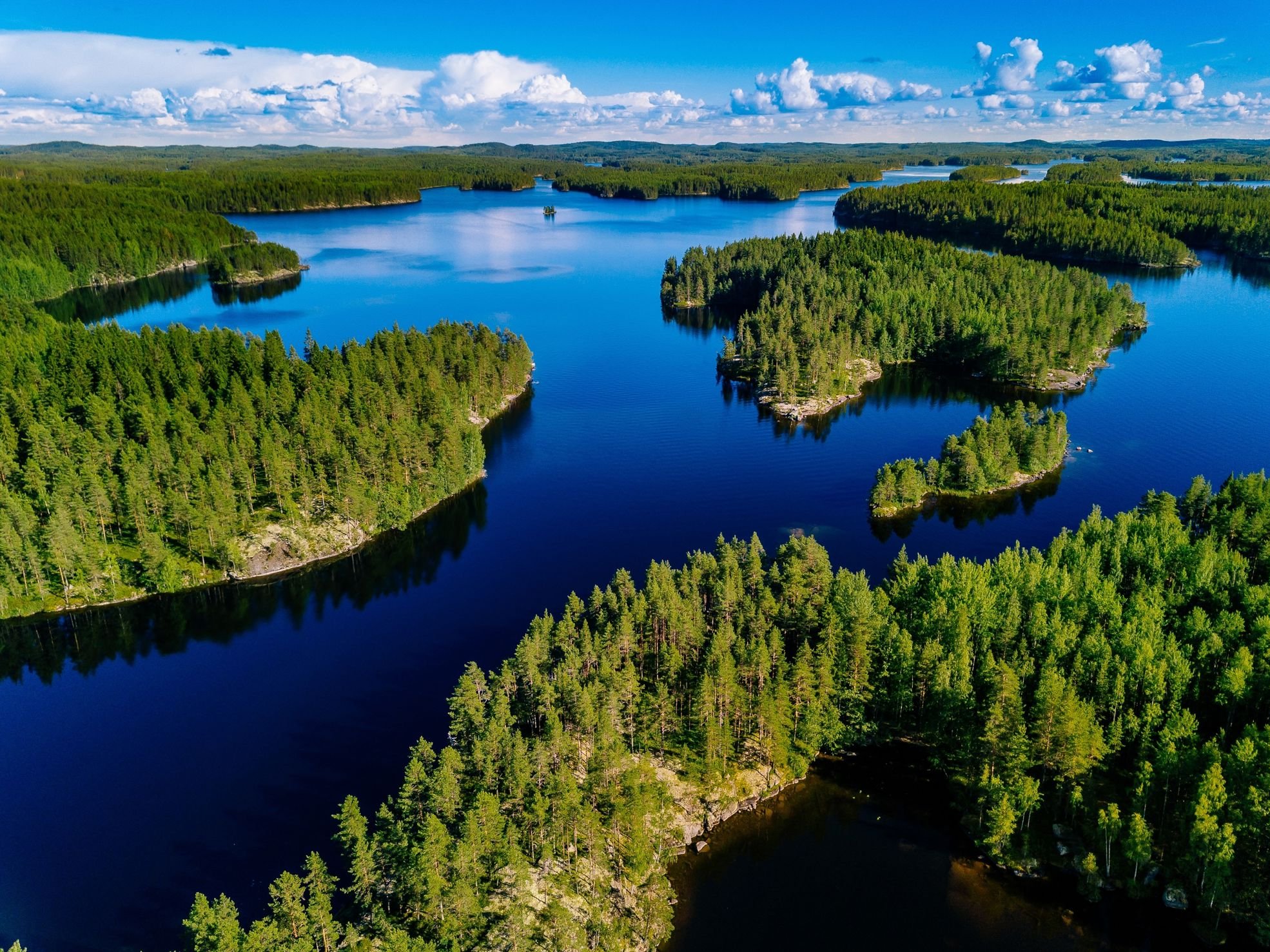 Metsä Board is a leader in sustainability