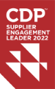 CDP-SER-2022-80px.png