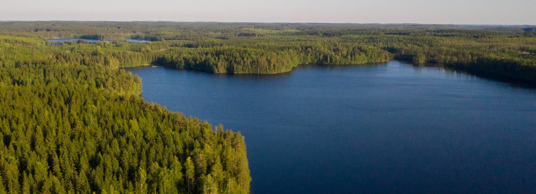 Effects on water - Local environment