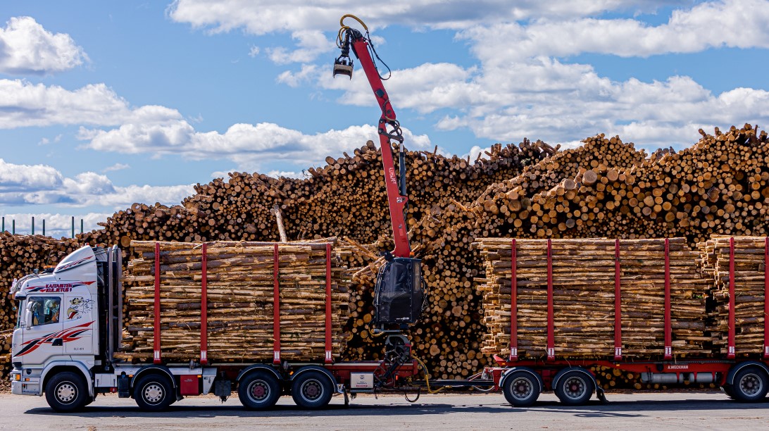 4. Pulp production - 1 - from wood to chips.jpg