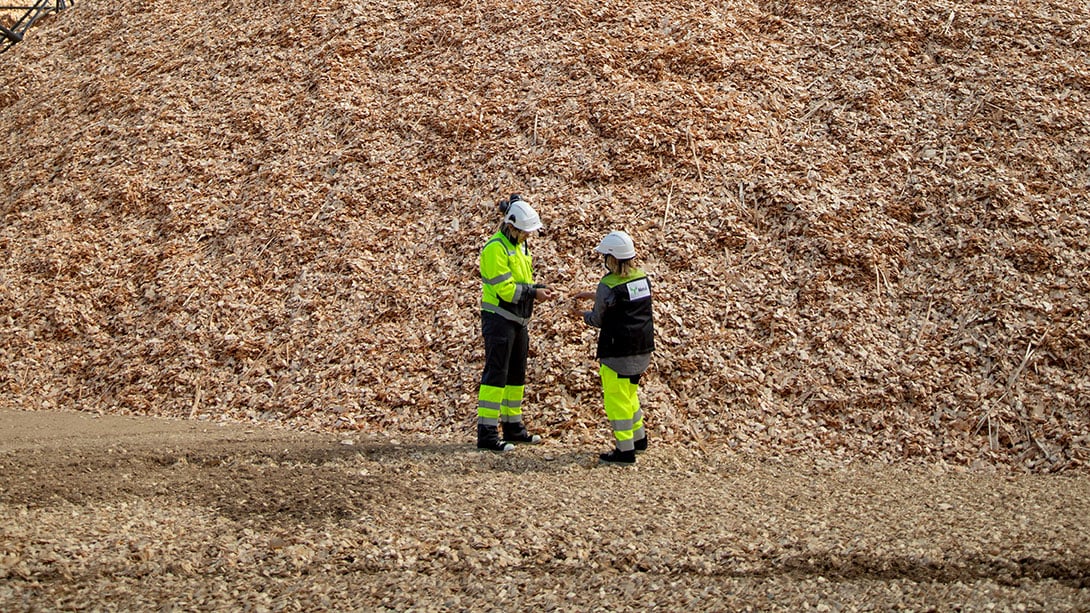 04-wood-chip-piles.jpg