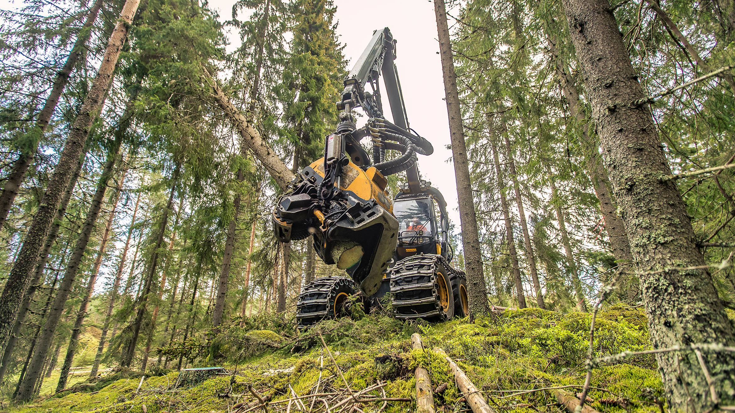 10-Hero-forestry-machine.jpg