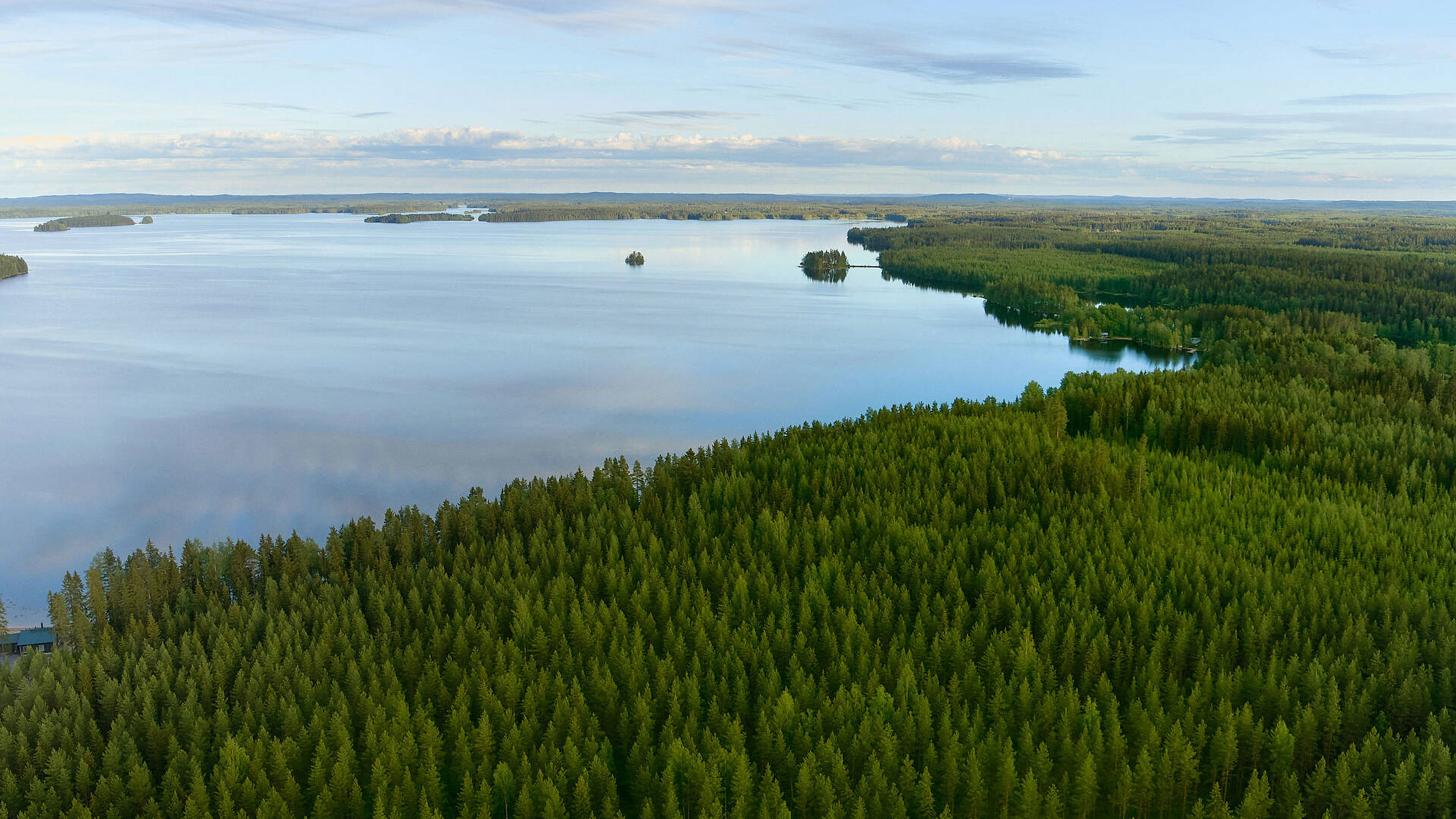 Metsää järven ympärillä