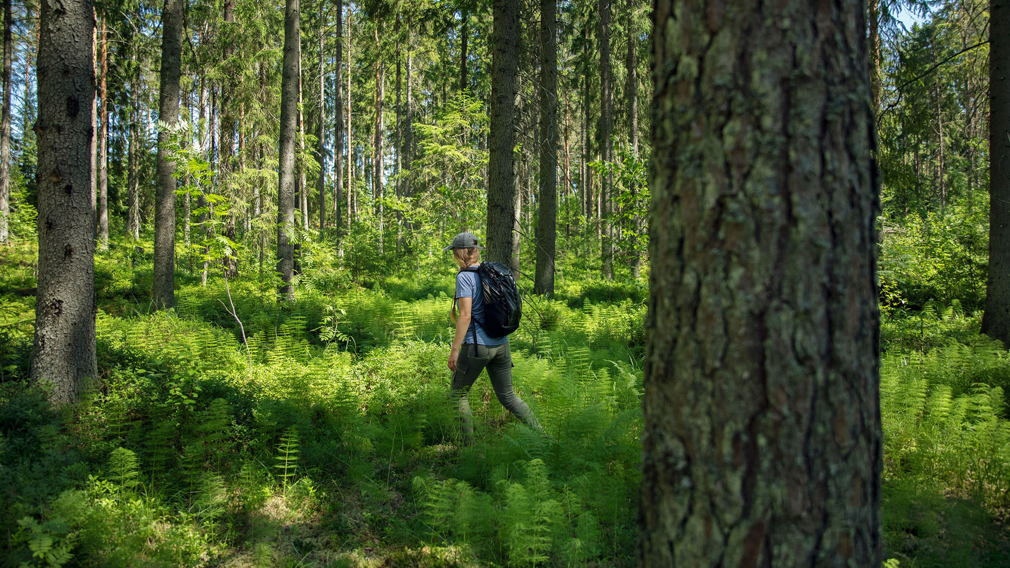 Nuori henkilö kävelemässä metsässä