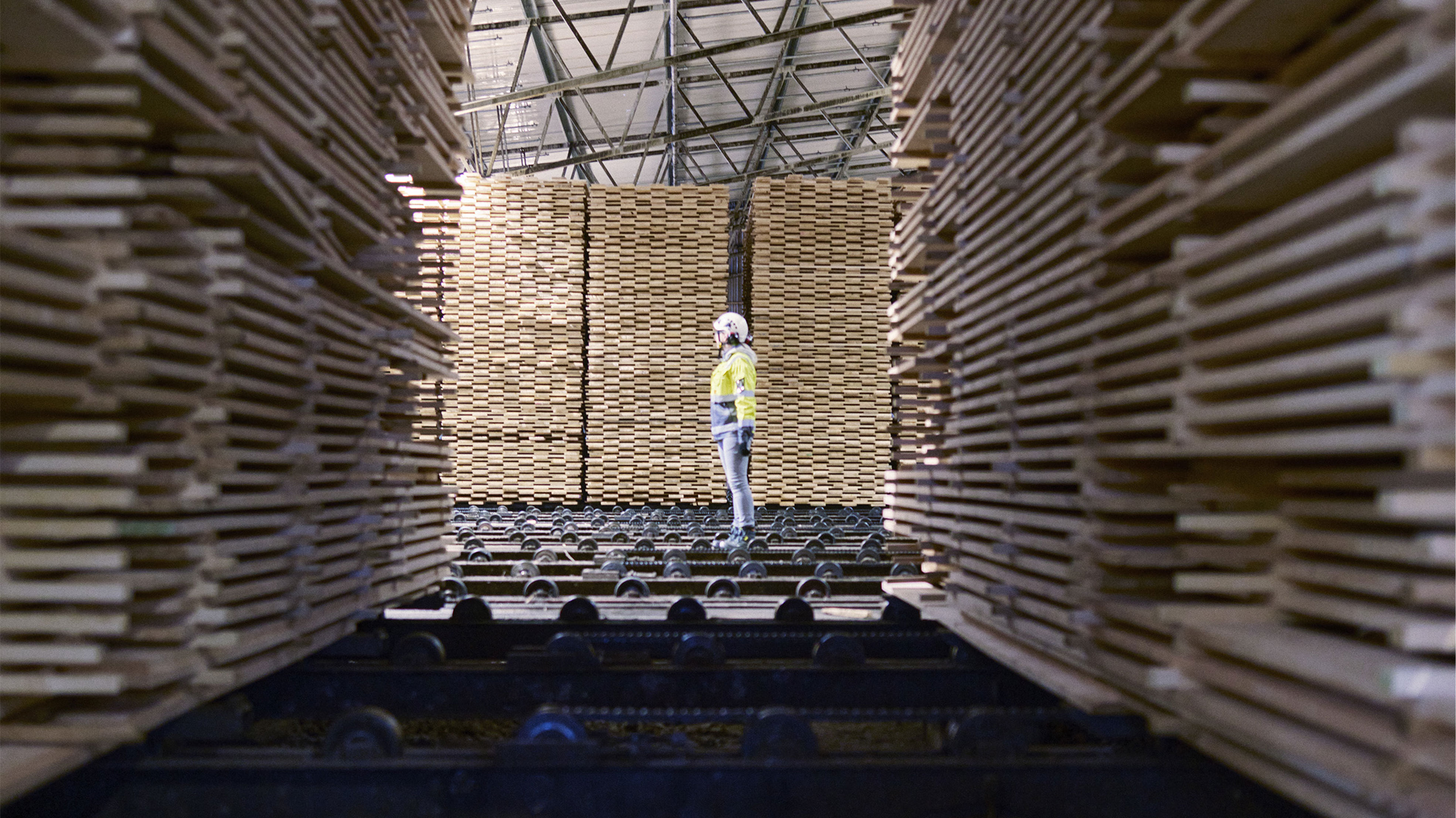 Sawn timber piles
