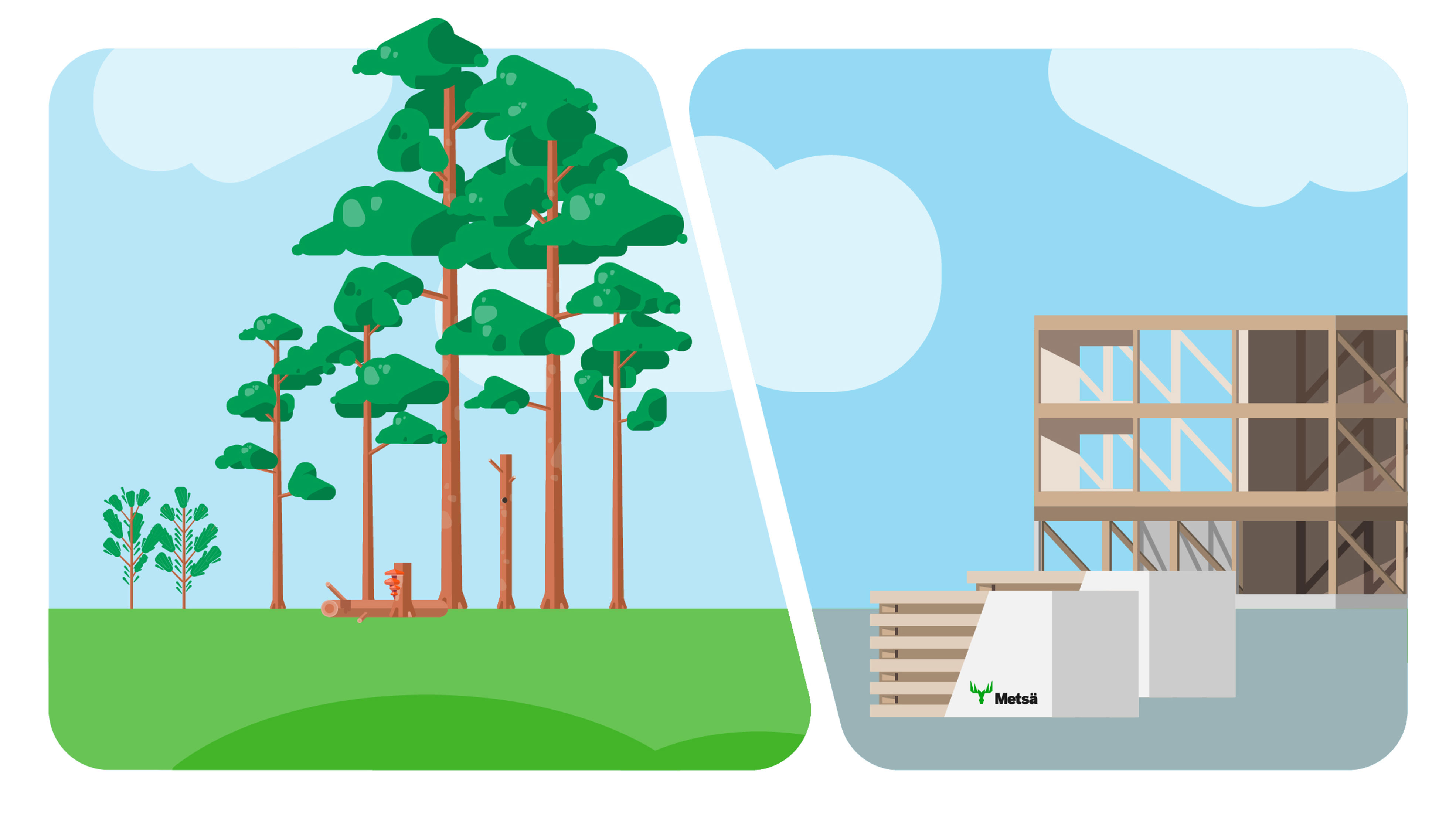Pine forest, sawn timber packages and building under construction