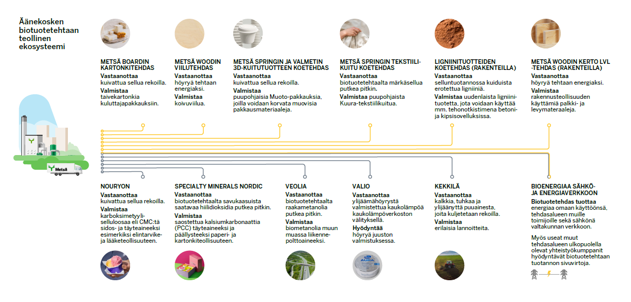 Metsä Fibren Äänekosken biotuotetehtaan teollinen ekosysteemi.