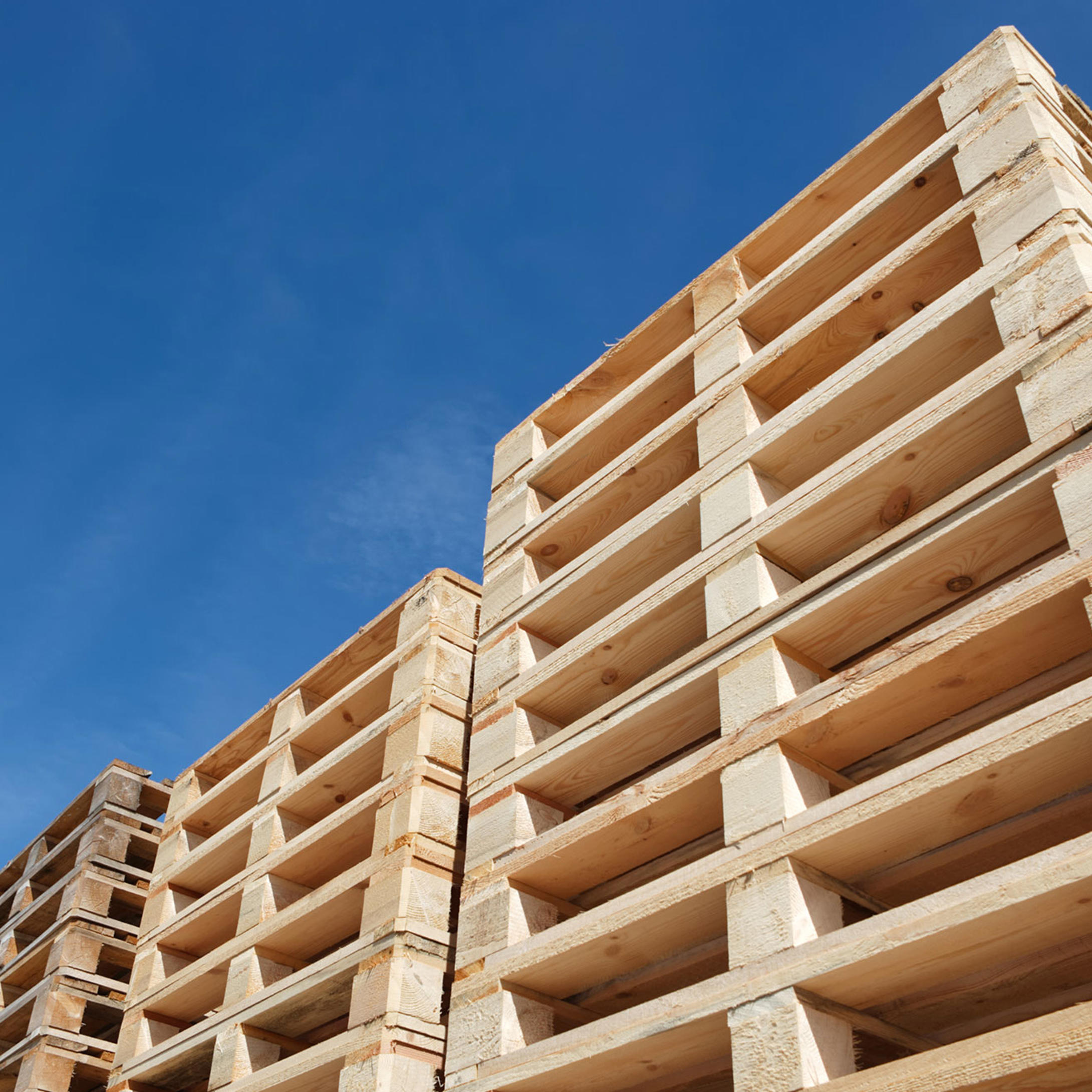 Pallet industry 