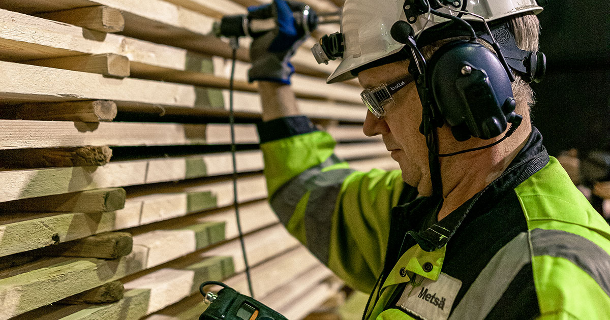 3.3.5.OG-Sawn-timber-moisture-test.jpg