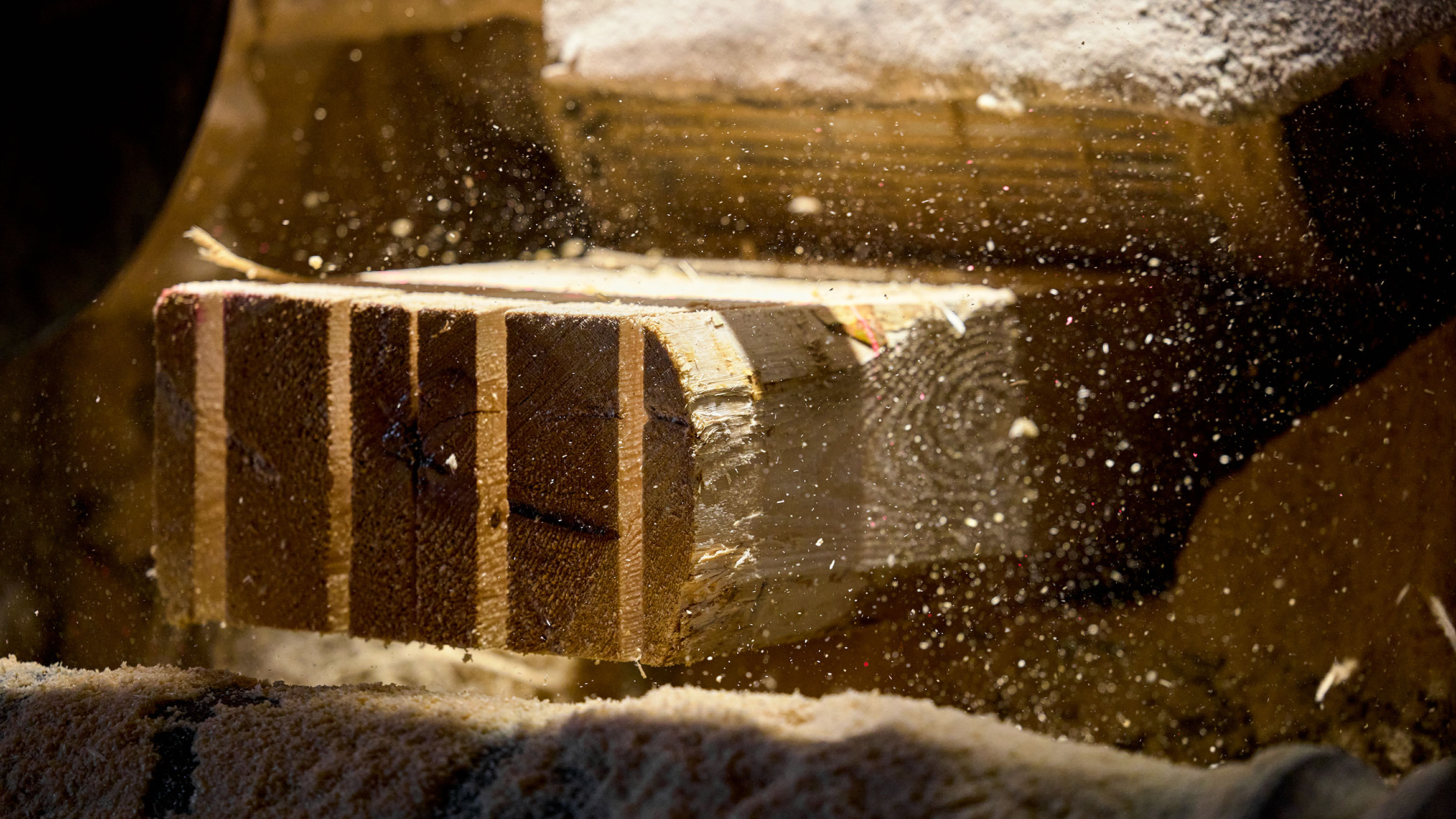 Closeup of log being sawn into sawn timber