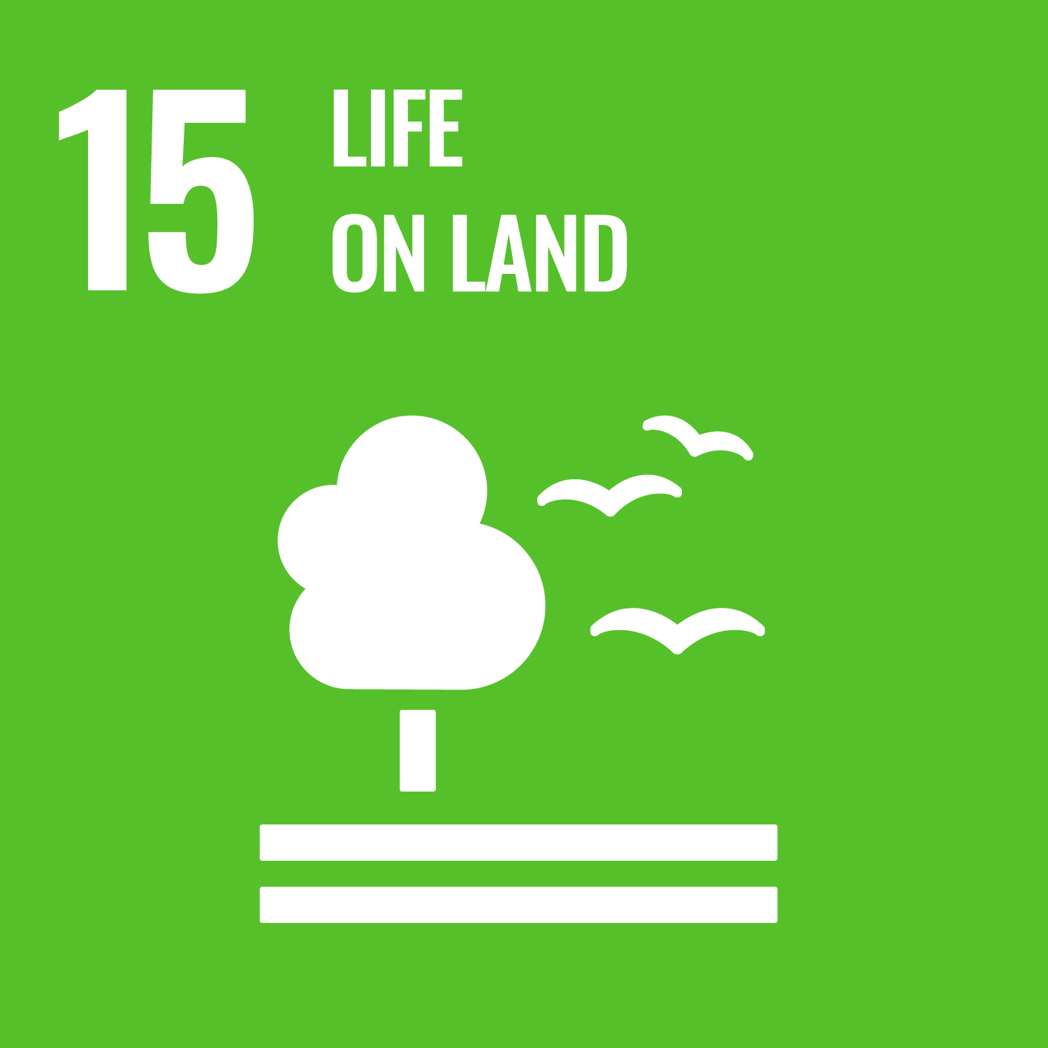 1 SDG 15.png